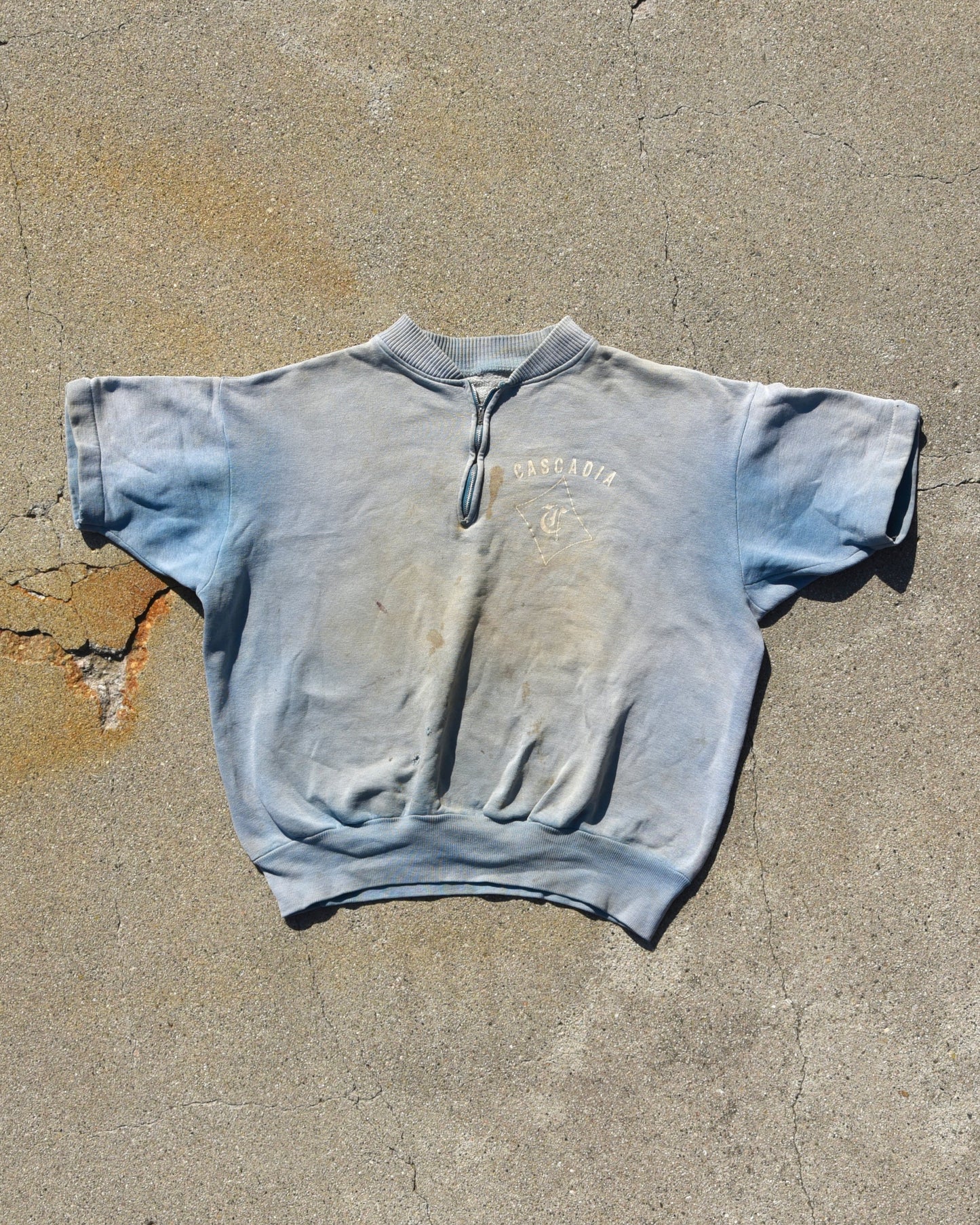 1960s Cascadia Sun Faded Blue Quarter Zip Sweatshirt