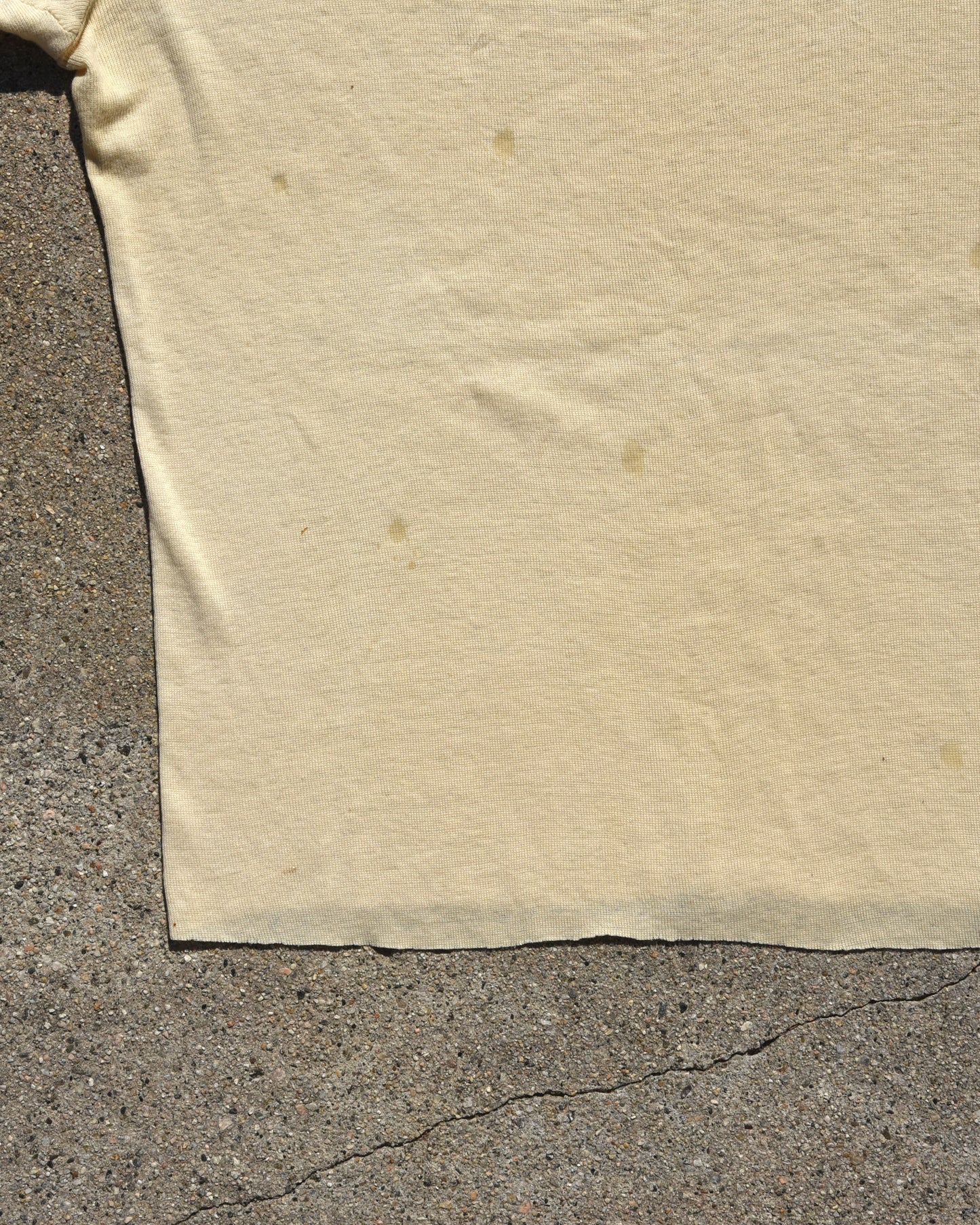 1950s Lion GRRR Stencil Tshirt