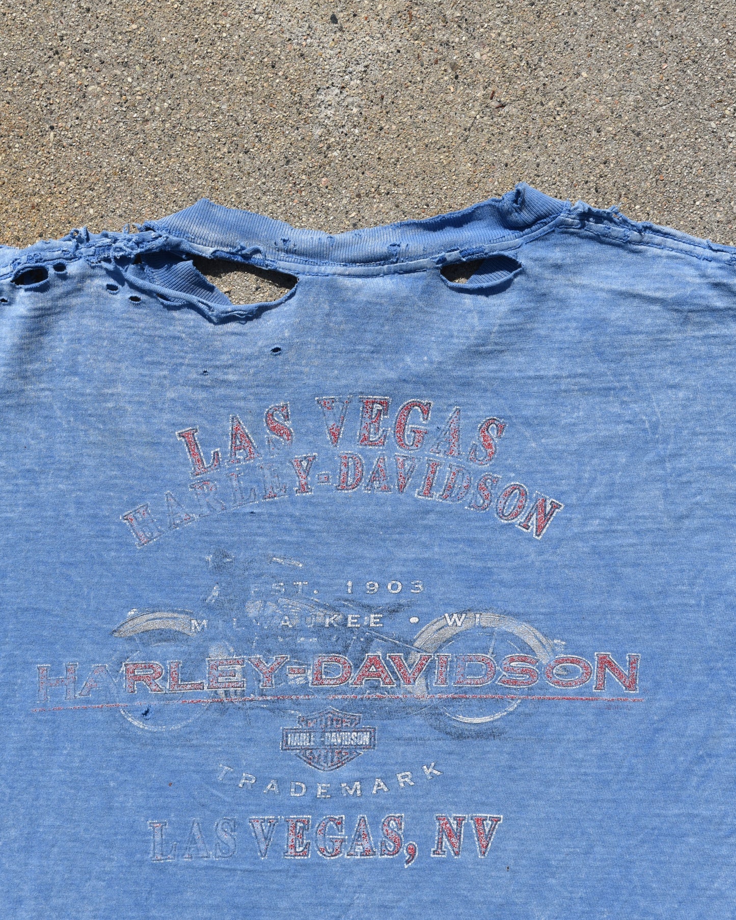 1990s Harley Davidson Tshirt Thrashed