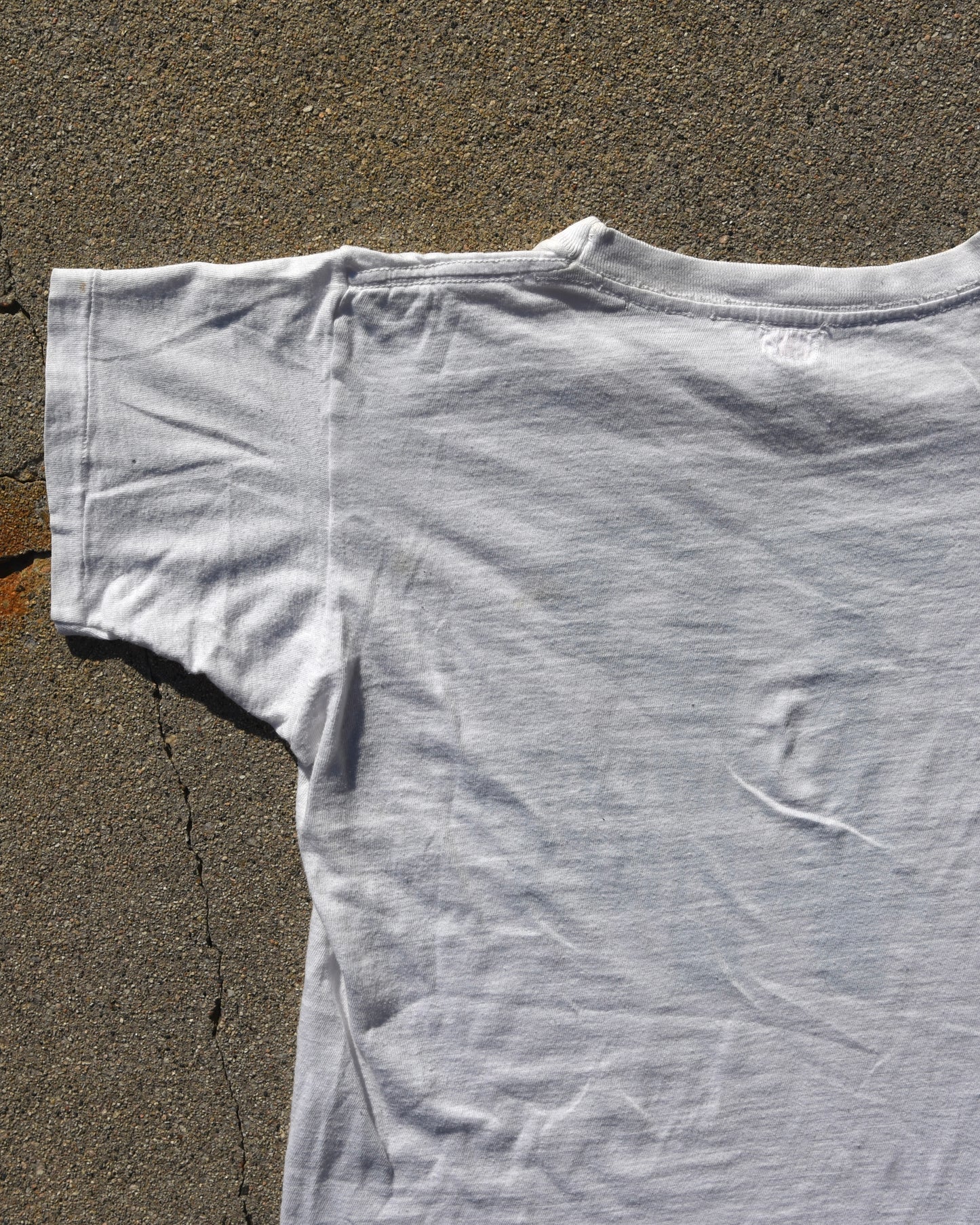 1950s Towering Pines Tshirt