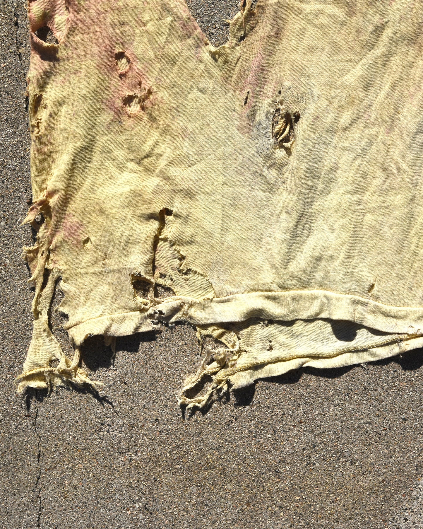 Thrashed Destroyed 1970s Alaska Tshirt