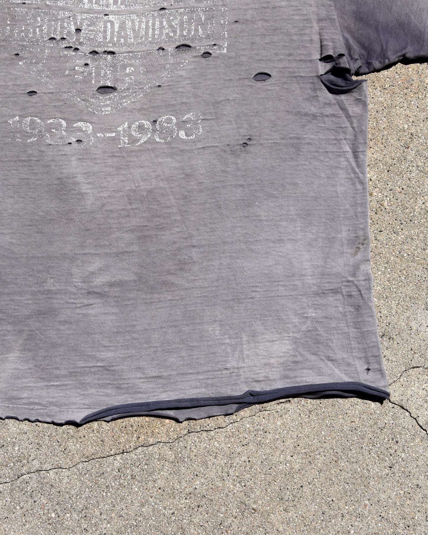 1980s Thrashed and Sun Faded Harley Davidson Eagle Tshirt