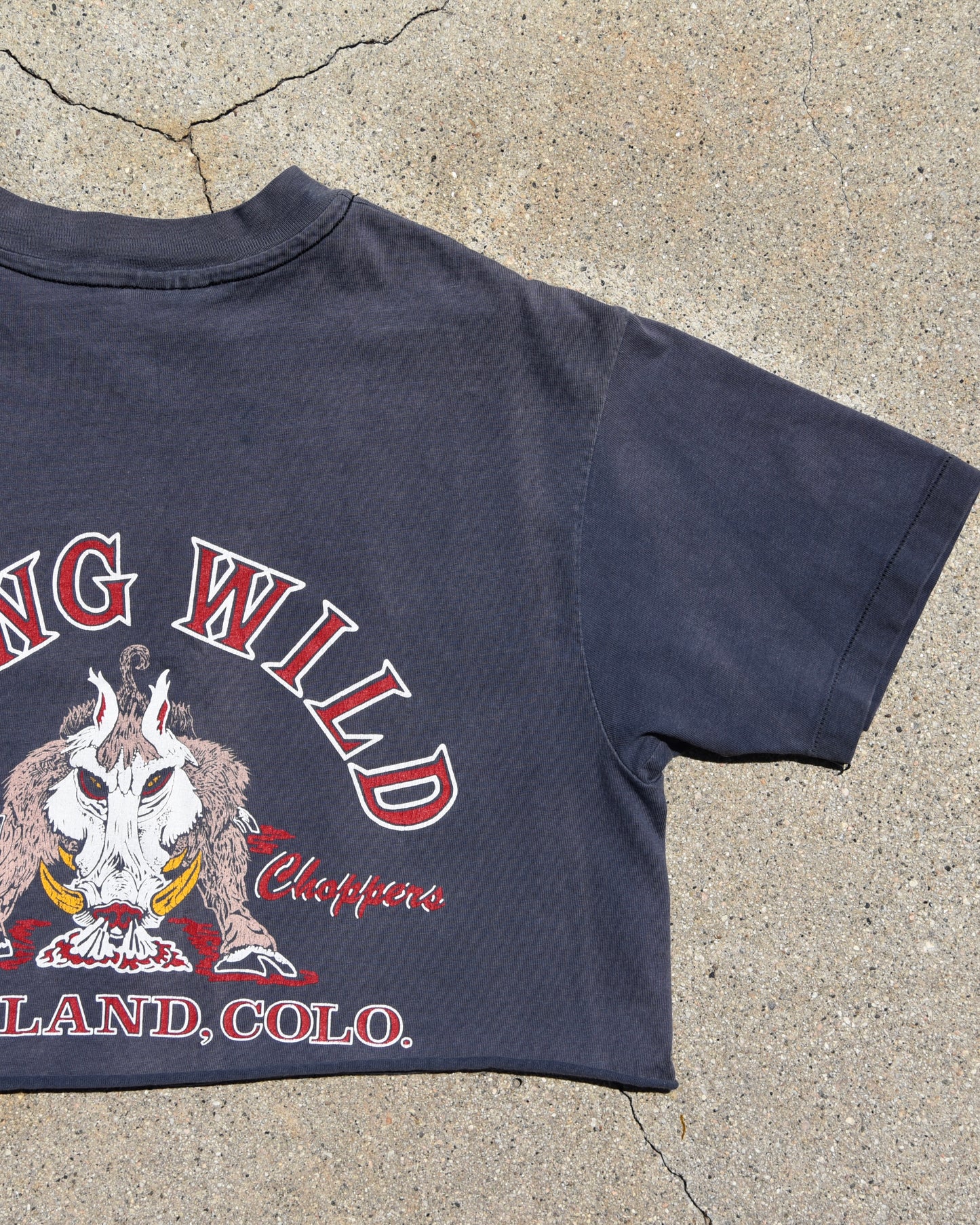 1980s Rocky Mountain Strokers Cropped Harley Davidson Tshirt