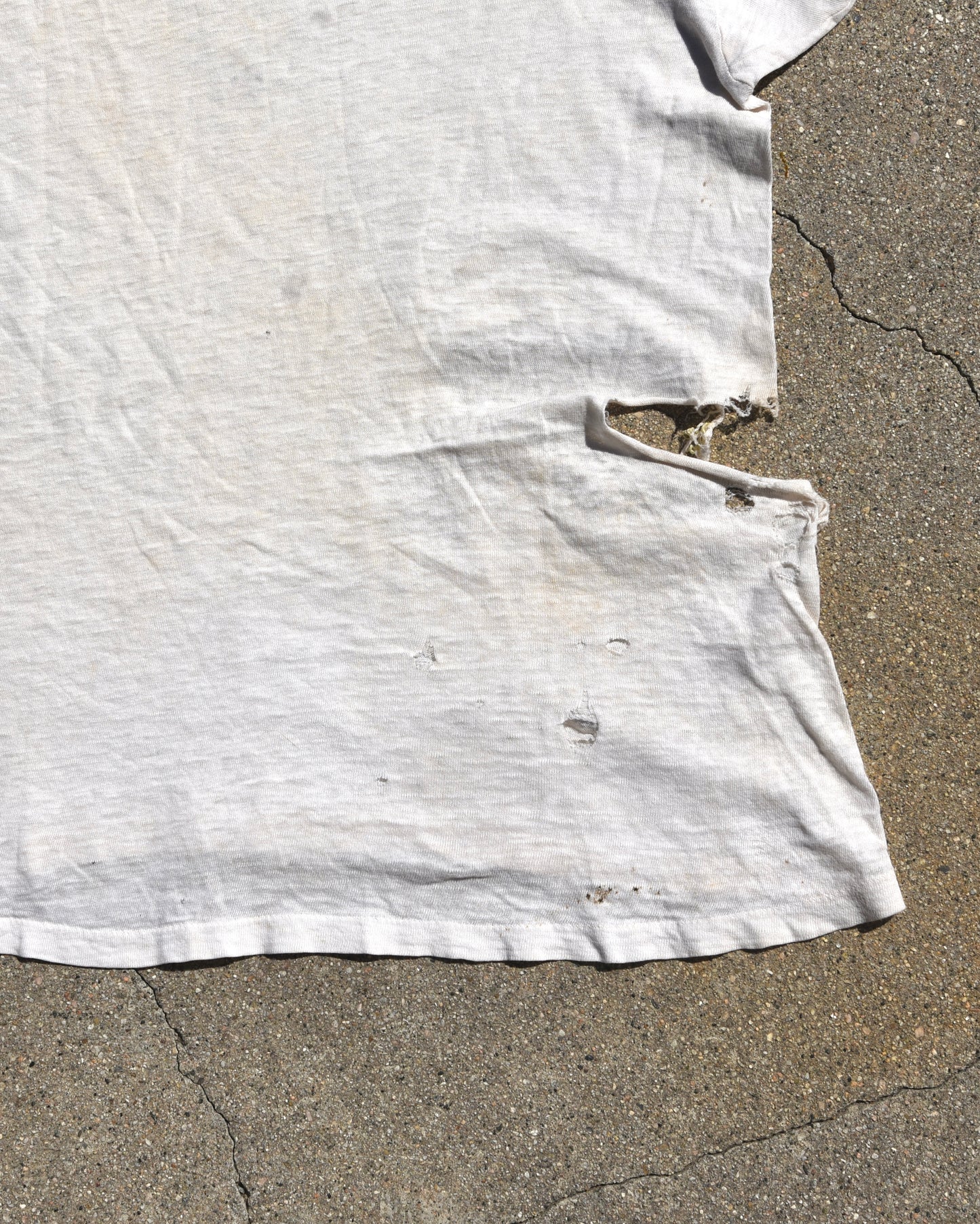 1950s Thrashed Lion Grrr Tshirt