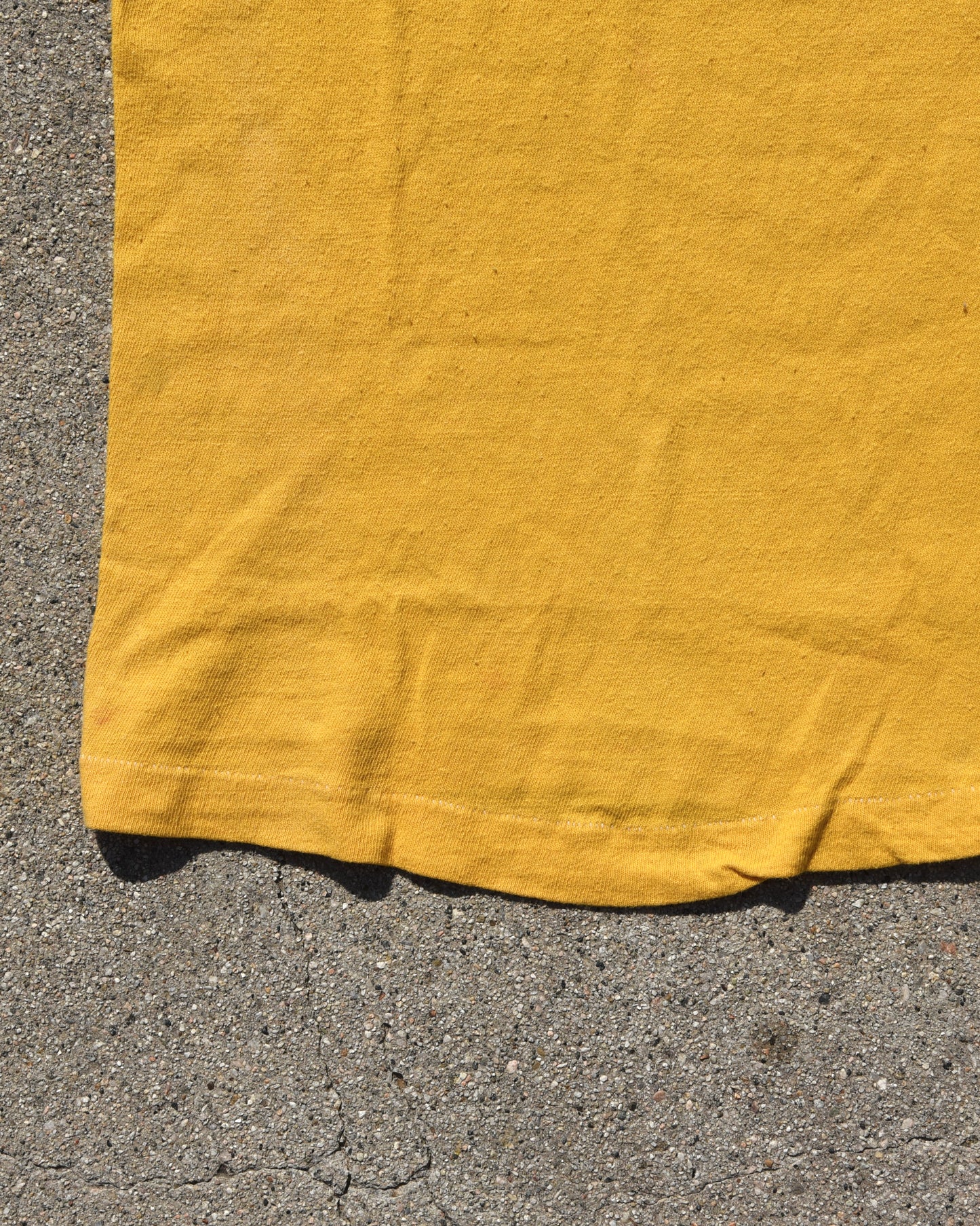 1970s The Beach Boys Endless Summer Capitol Records Tshirt