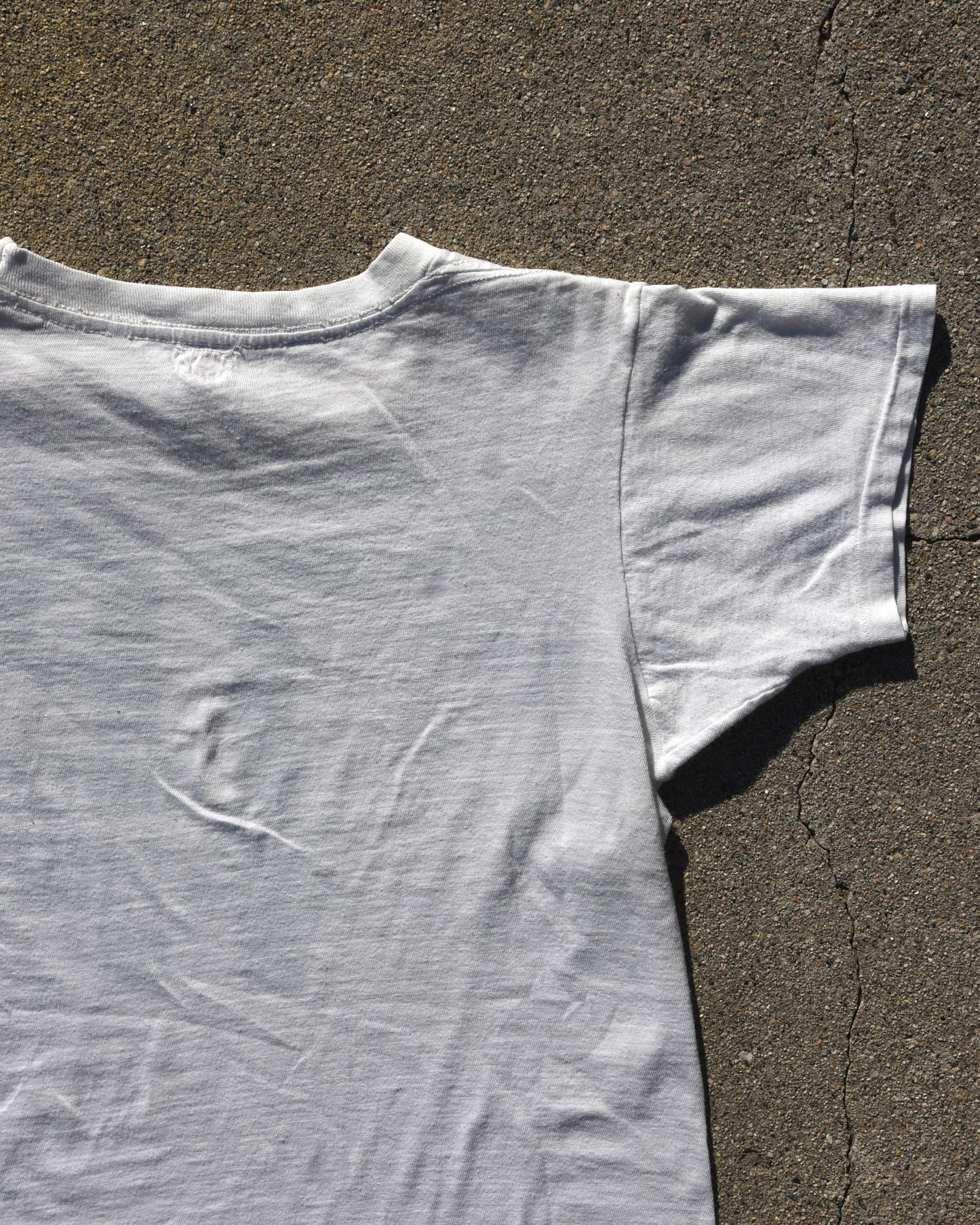 1950s Towering Pines Tshirt