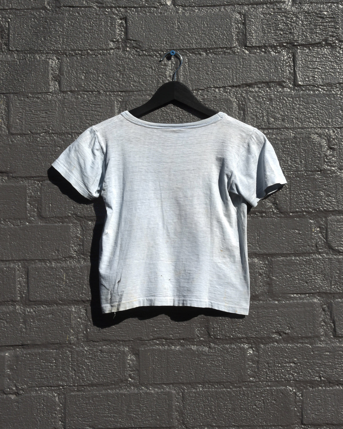 1970s River Rat Cropped Tshirt