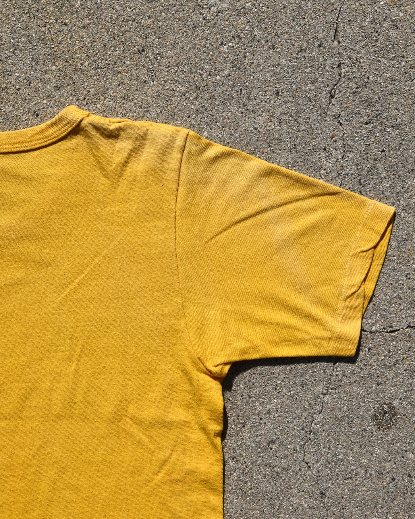 1970s The Beach Boys Endless Summer Capitol Records Tshirt