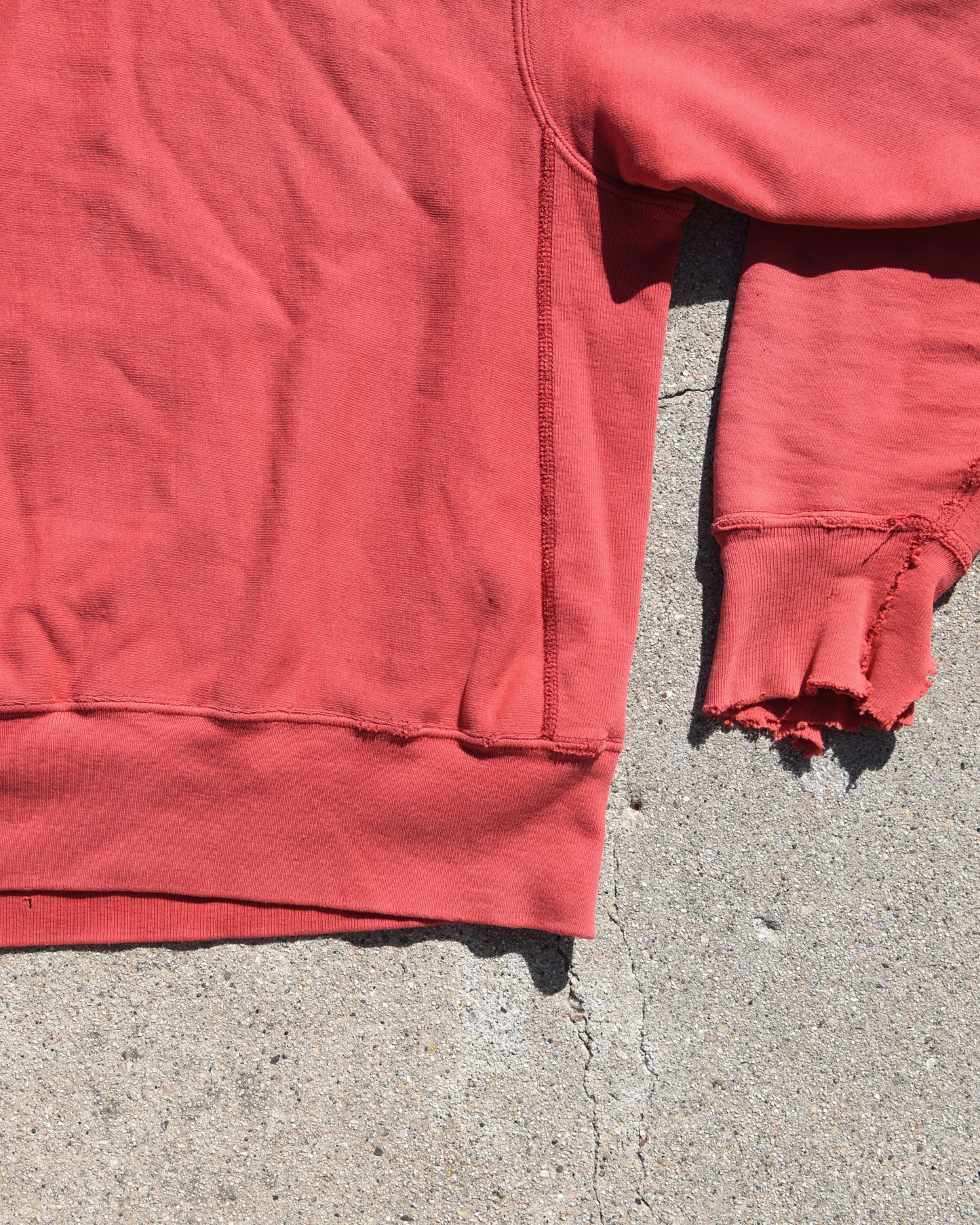 1980s Faded and Thrashed Champion Reverse Weave Temple Owls Sweatshirt