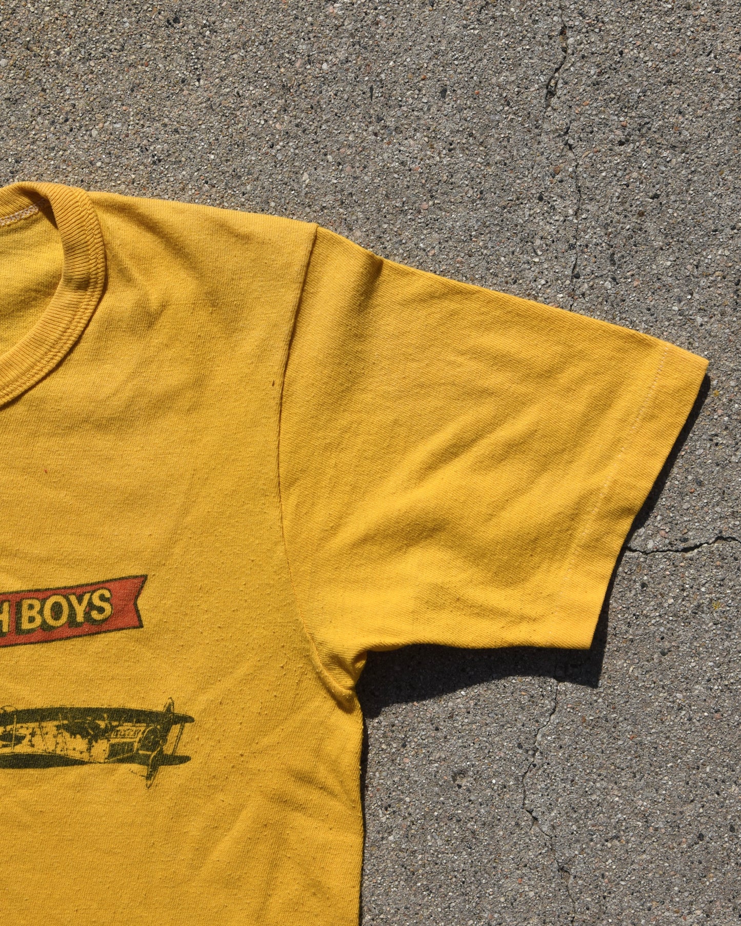 1970s The Beach Boys Endless Summer Capitol Records Tshirt