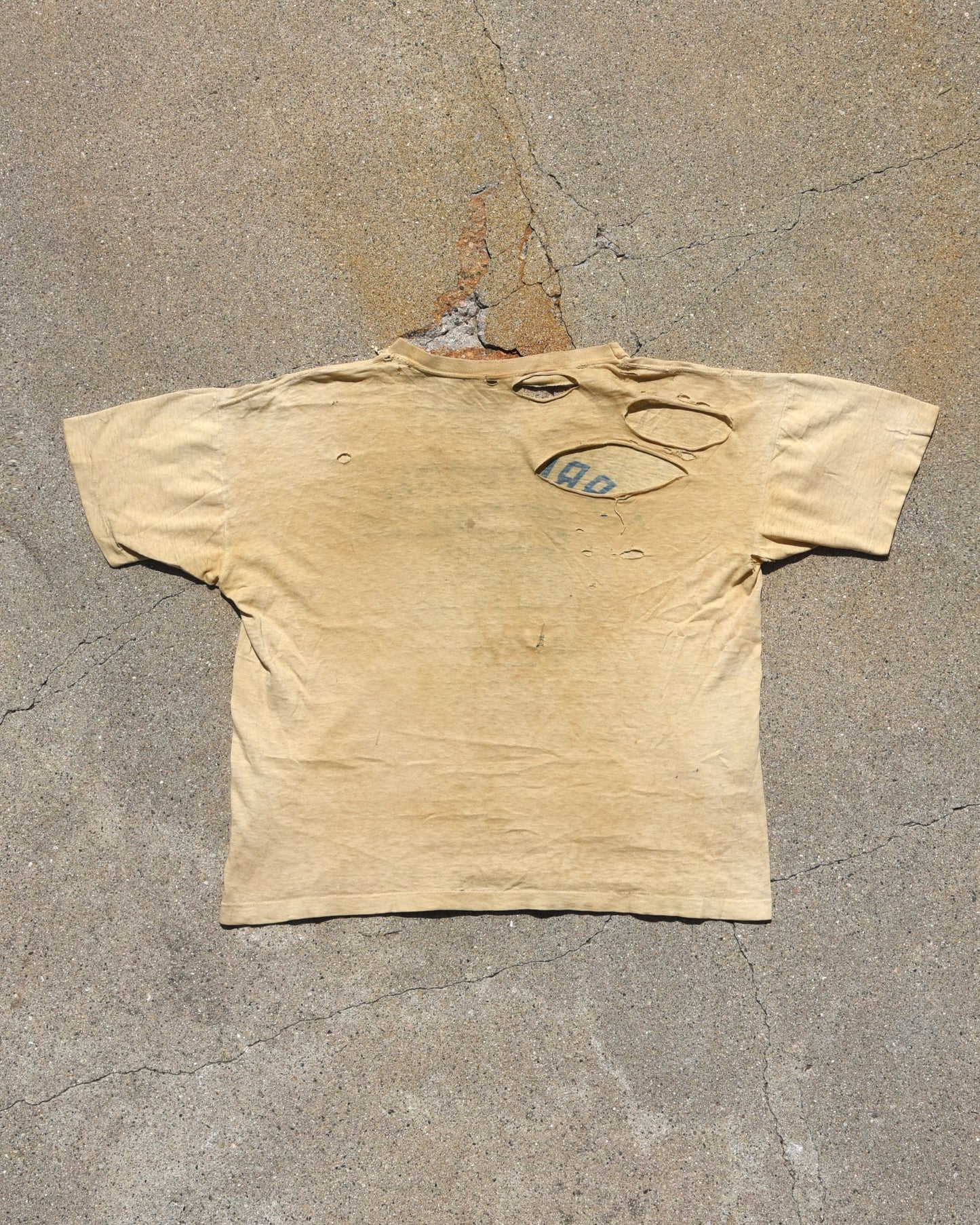 1970s Thrashed Torrington Swim Club Tshirt