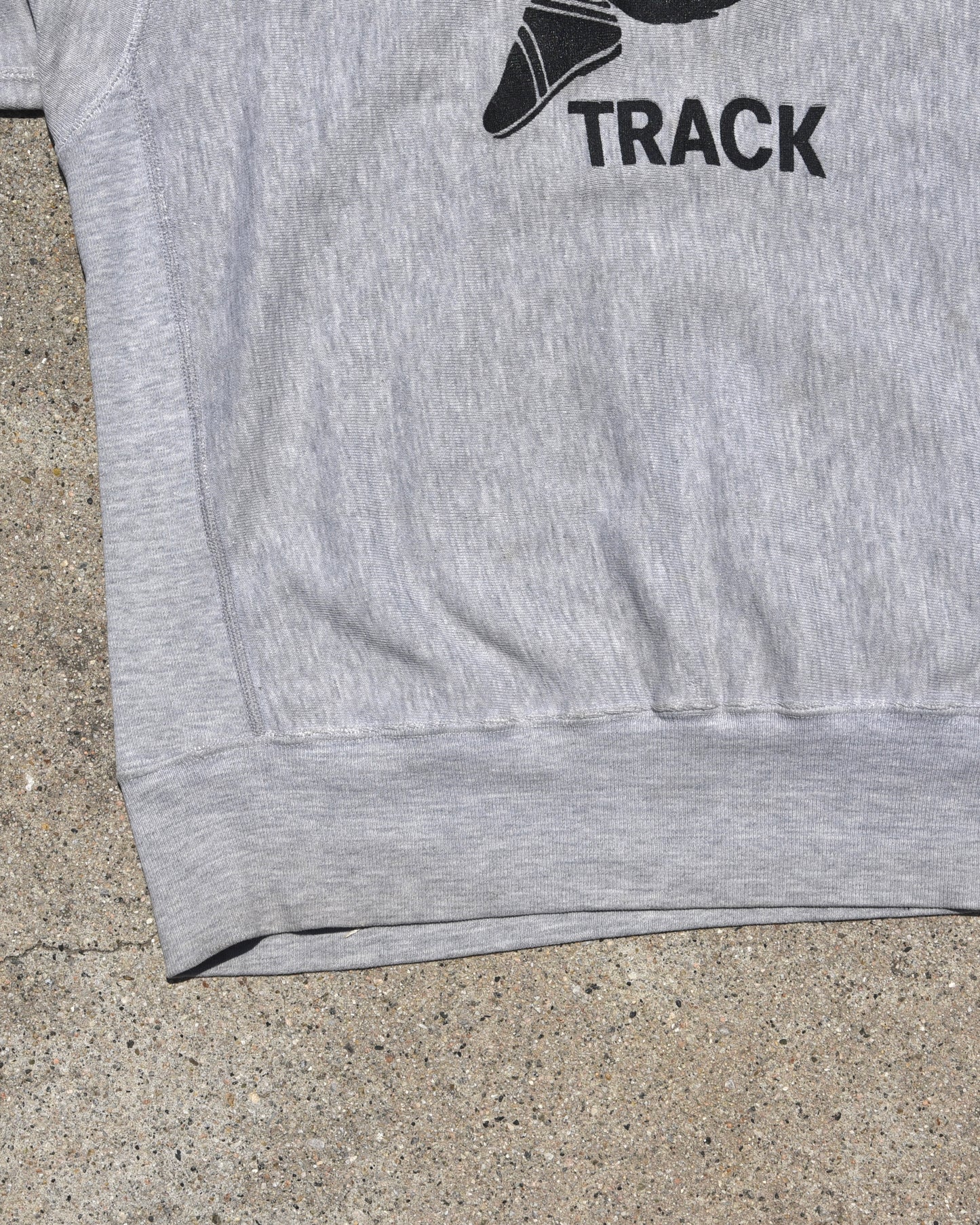 1990s Champion Reverse Weave Wayne State Track Sweatshirt