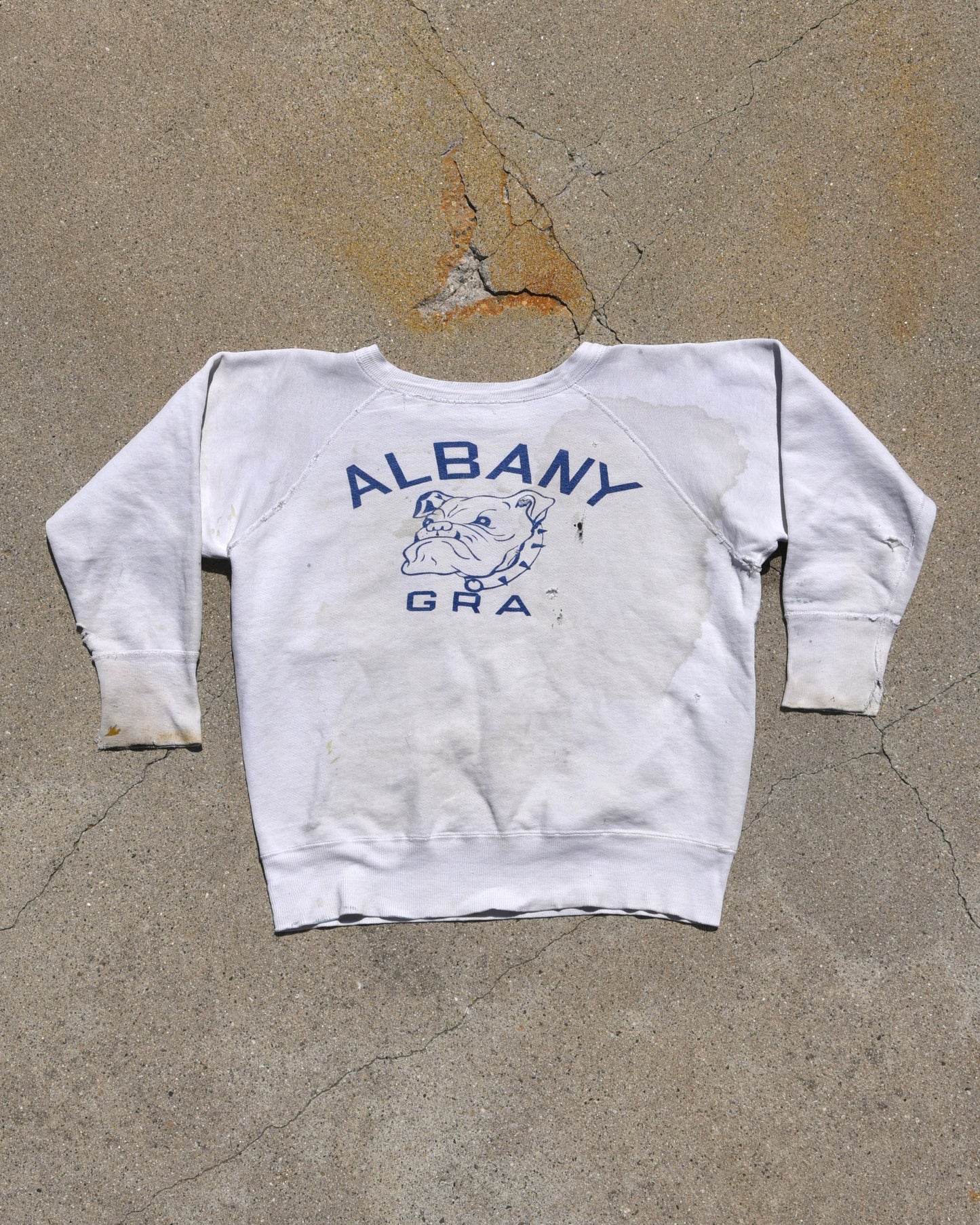 1950s Albany Gra Sweatshirt