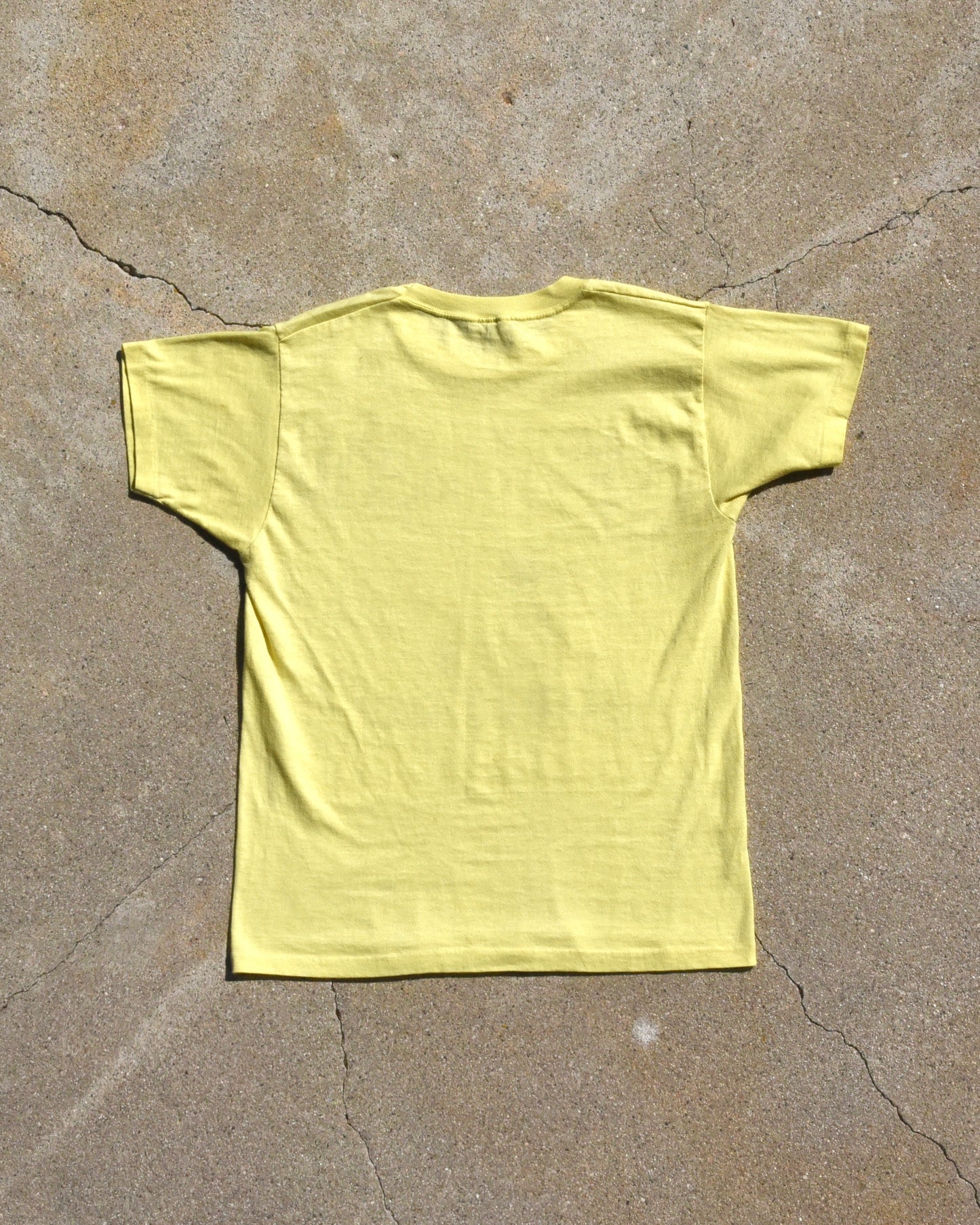 1970s I Said They Would Have To Kick Me Out Tshirt
