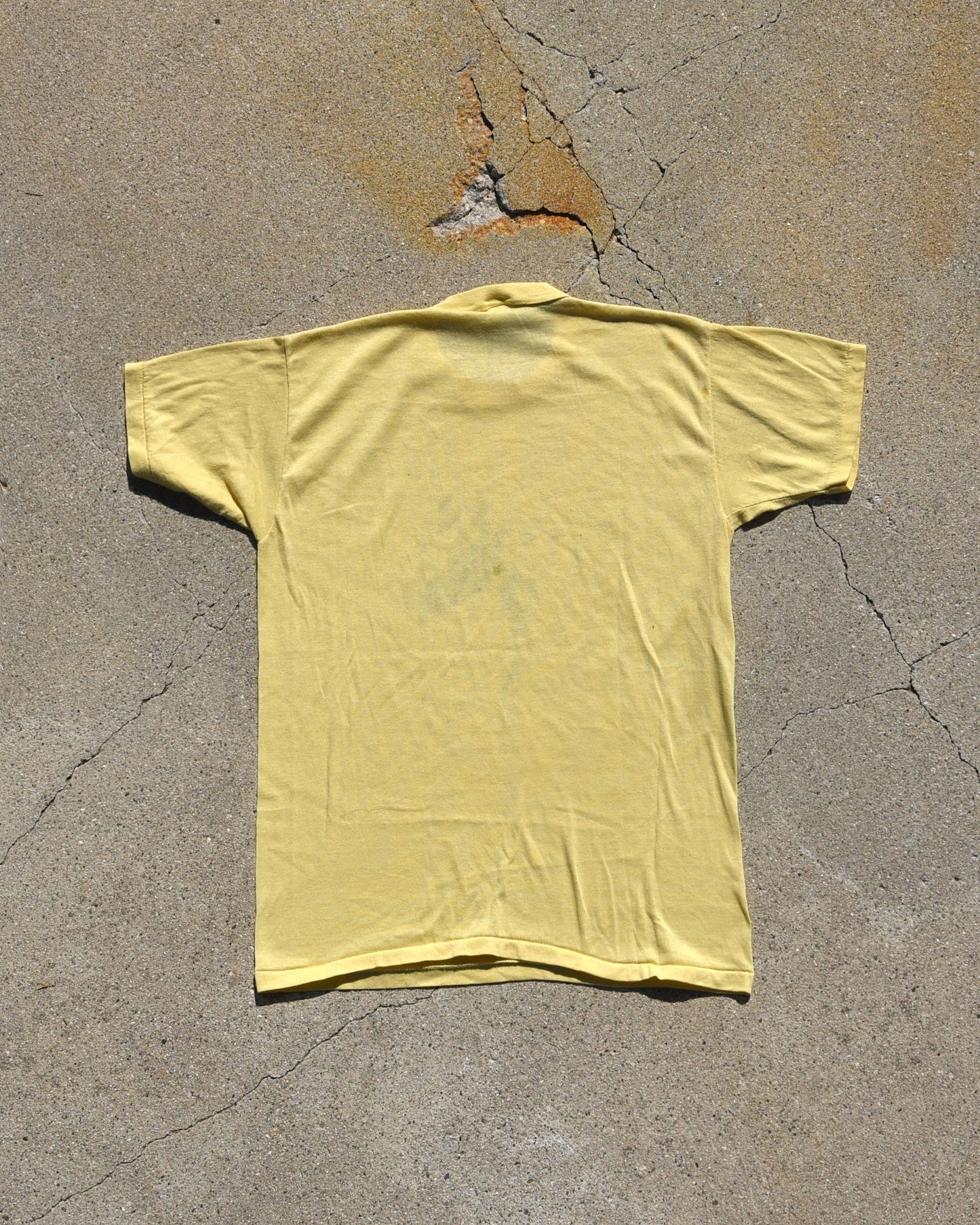 1960s Horse Portrait Tshirt