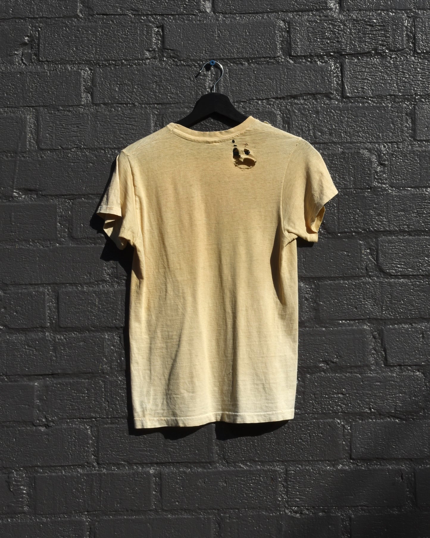 1960s The Rosey Tomato Tshirt