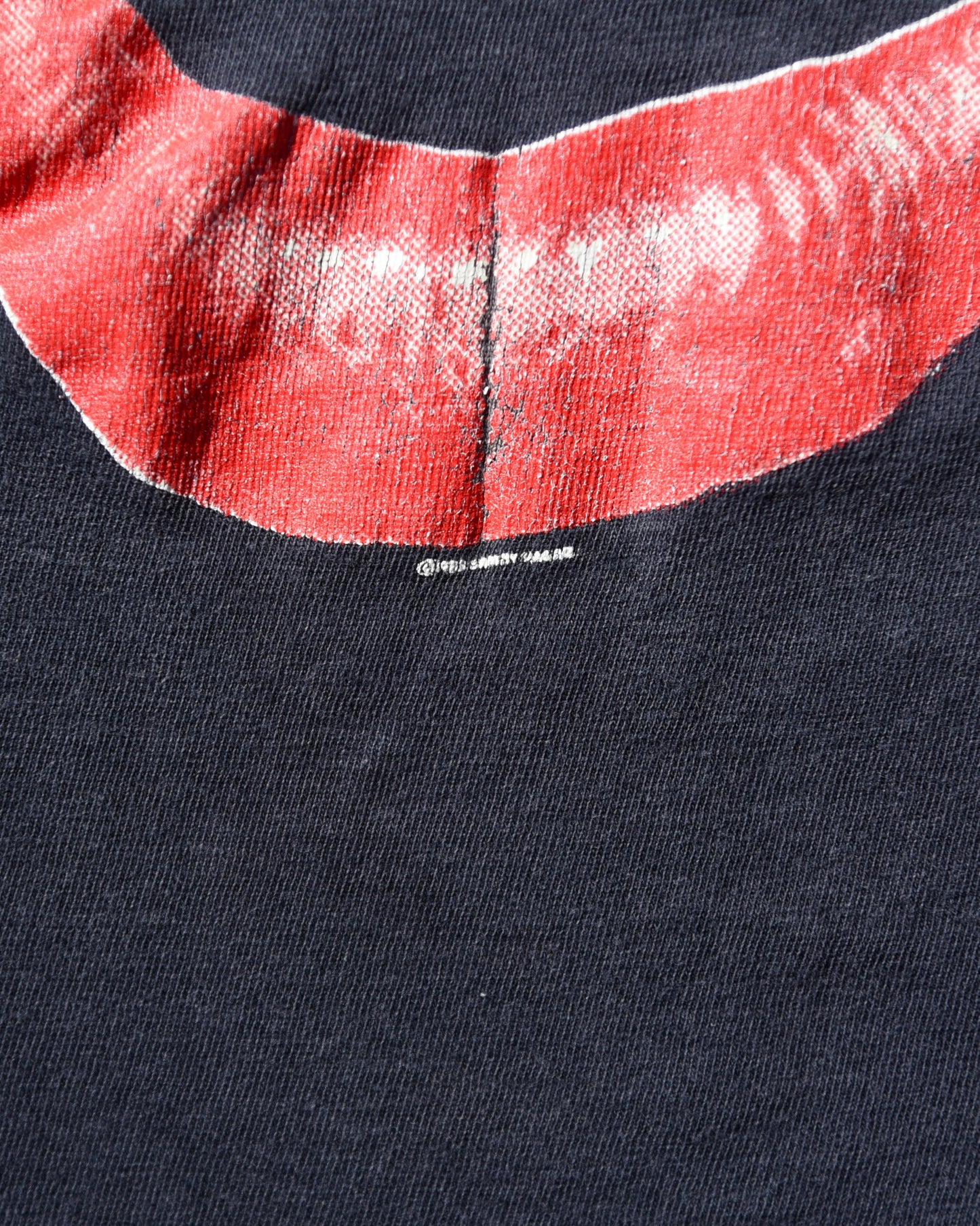 1983 Sammy Hagar Vintage Lips Tshirt Sun Faded