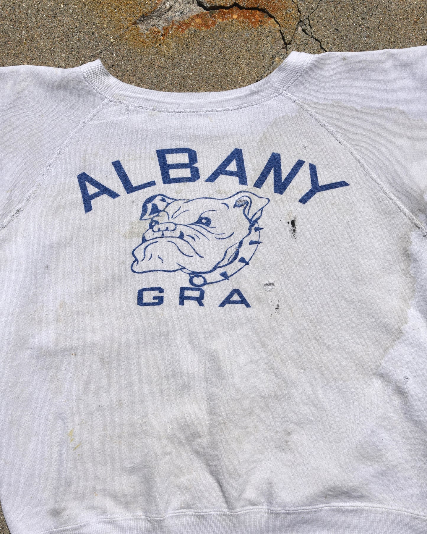 1950s Albany Gra Sweatshirt