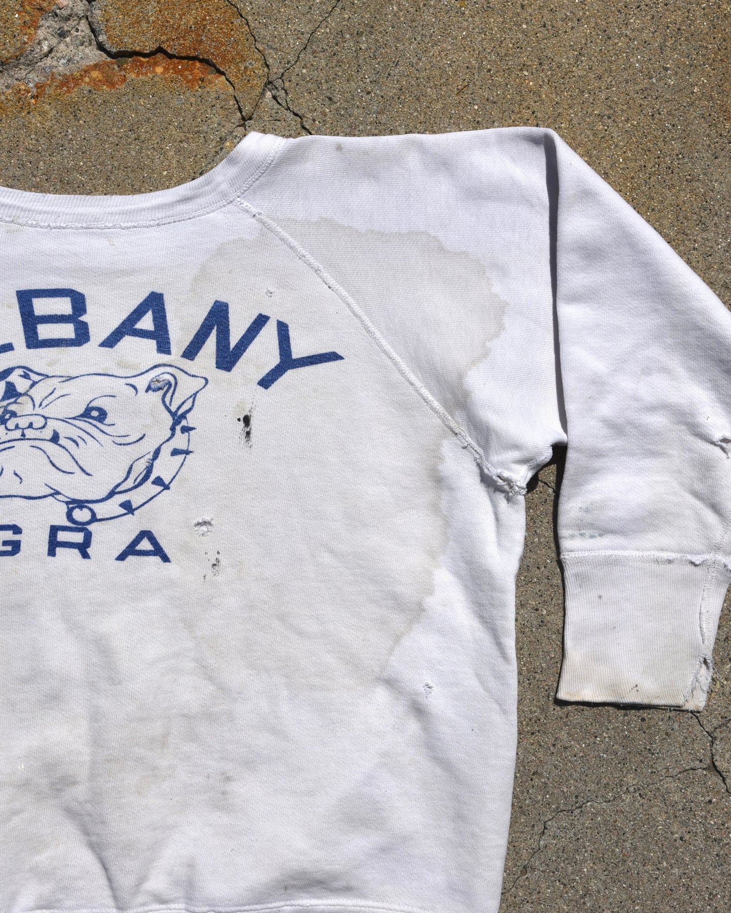 1950s Albany Gra Sweatshirt