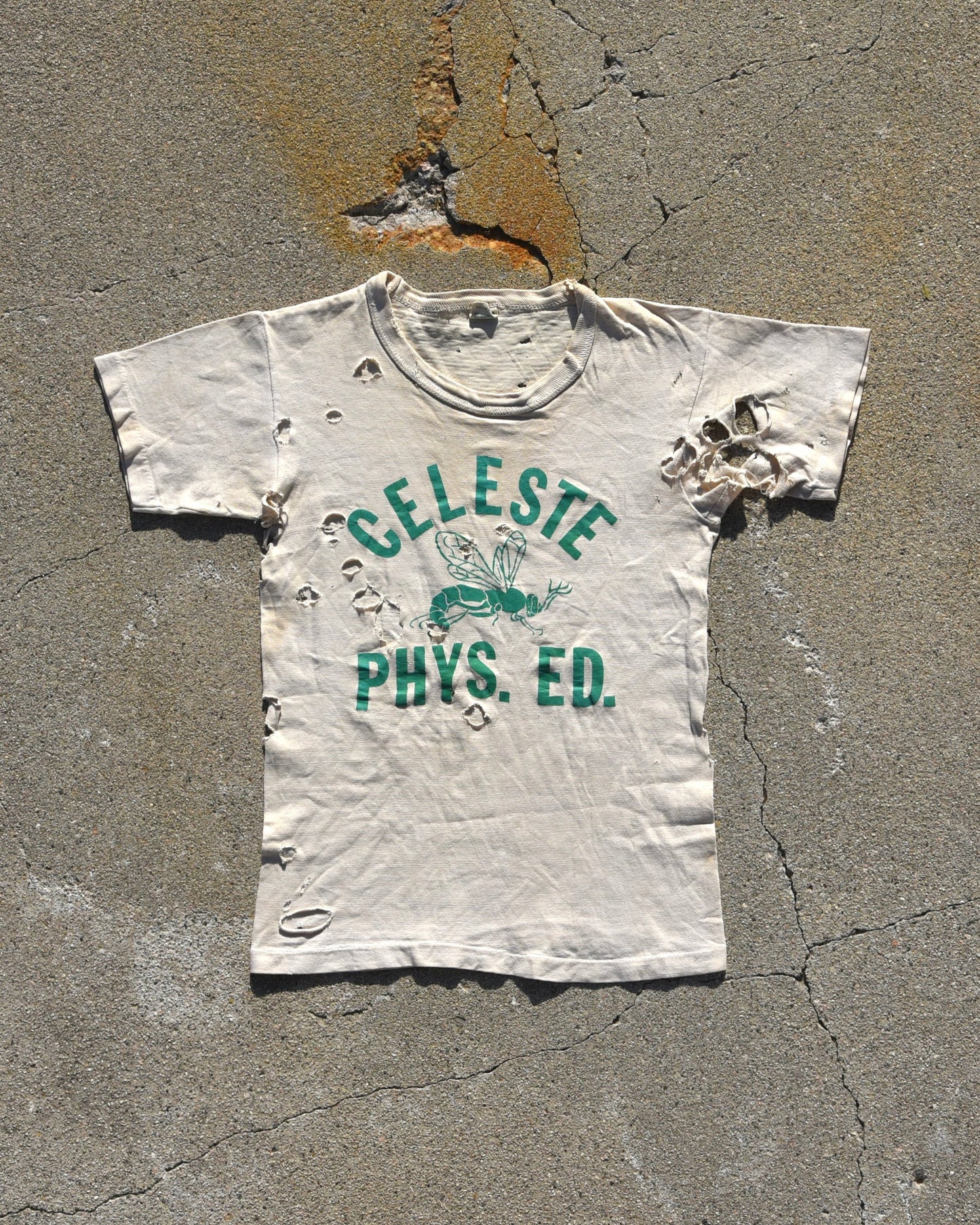 1950s Thrashed Celeste Phys Ed Tshirt
