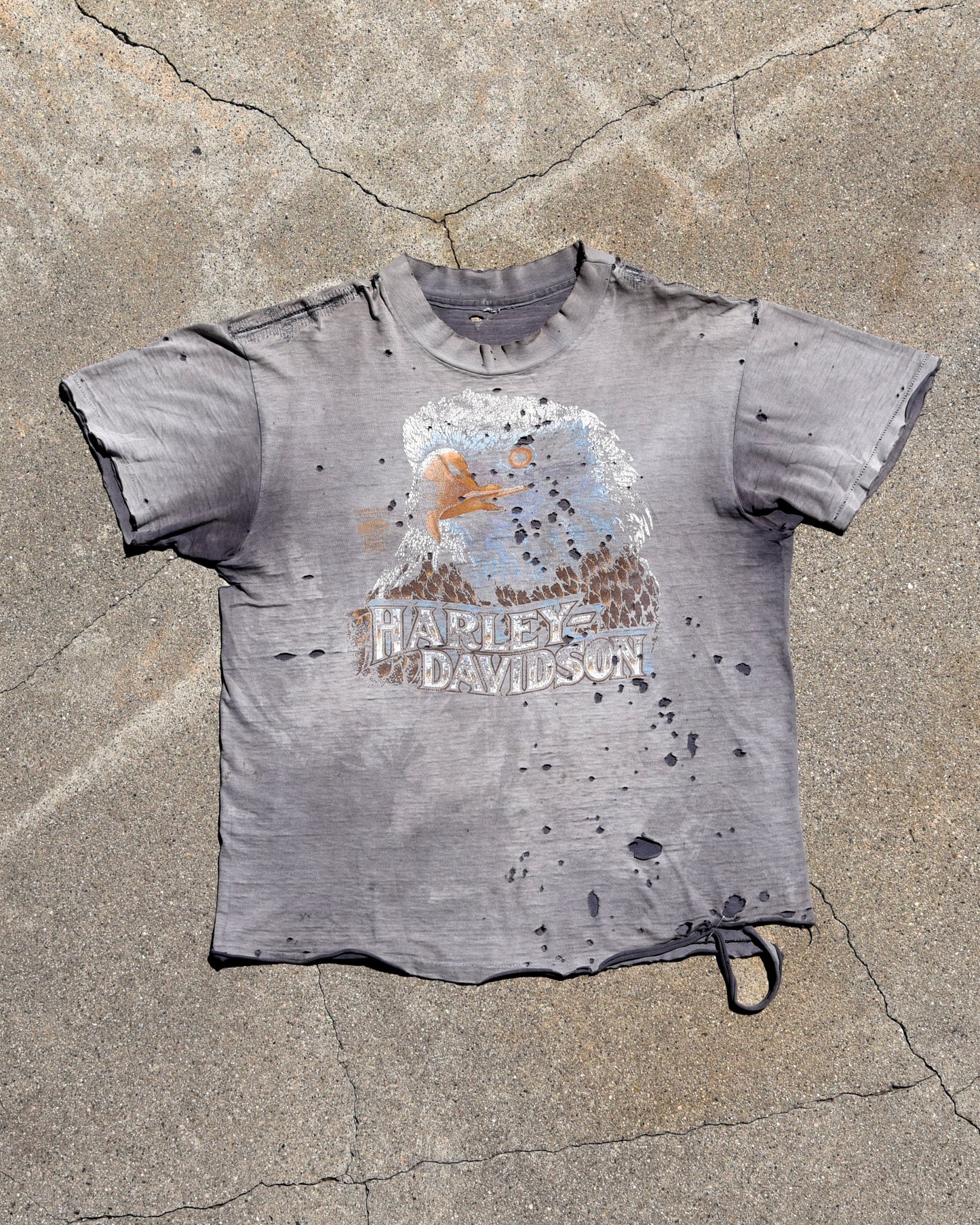1980s Thrashed and Sun Faded Harley Davidson Eagle Tshirt