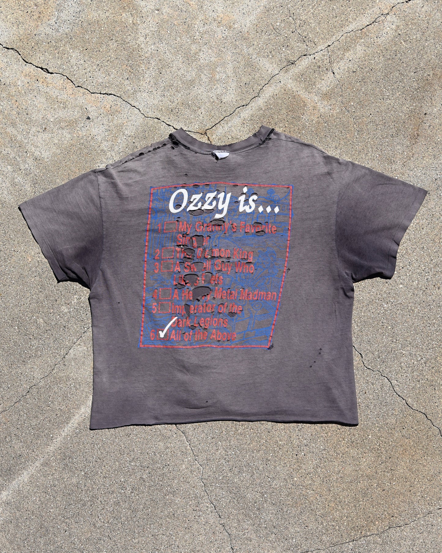 1980s Thrashed and Sun Faded Ozzy Osbourne Is… Tshirt