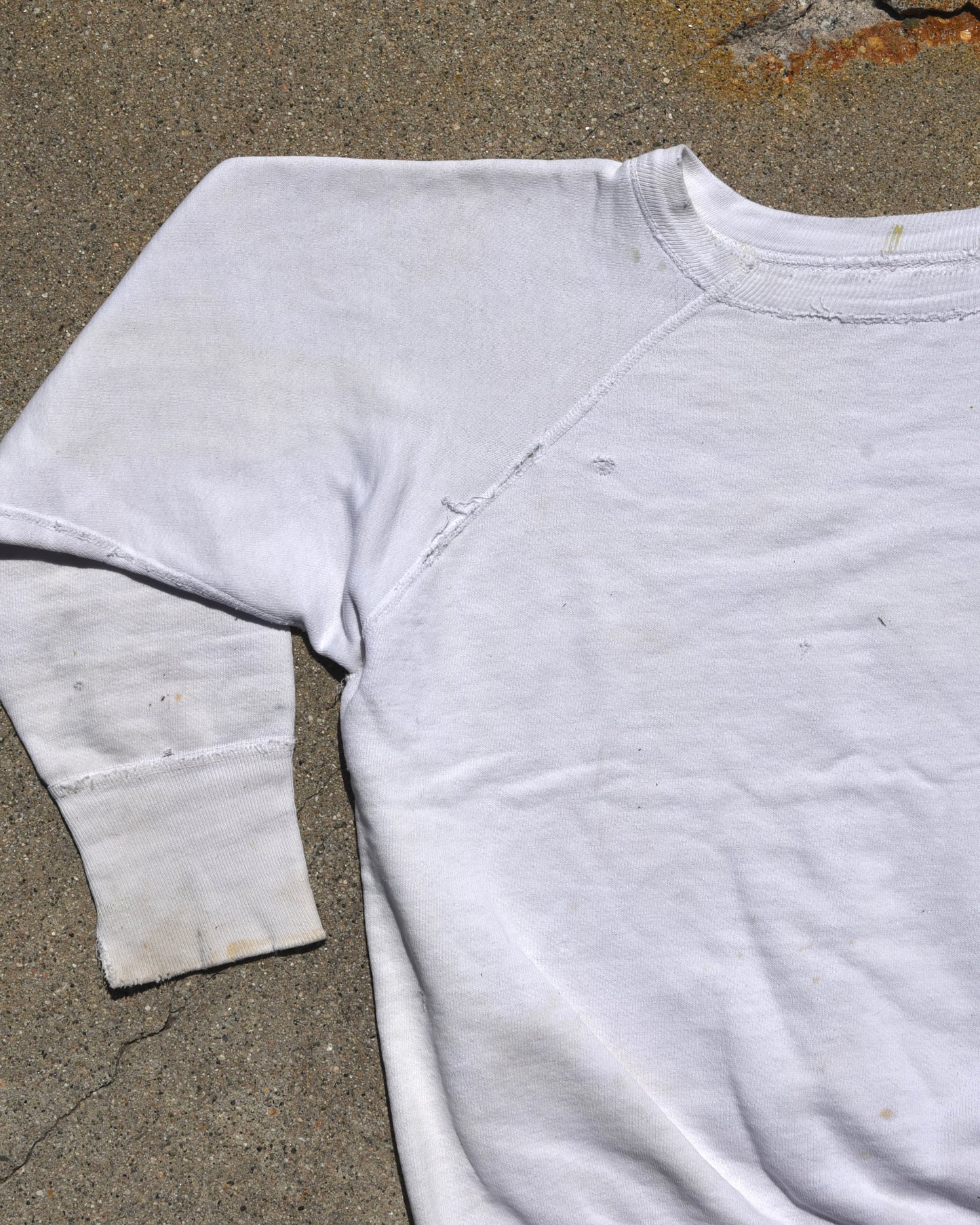 1950s Albany Gra Sweatshirt