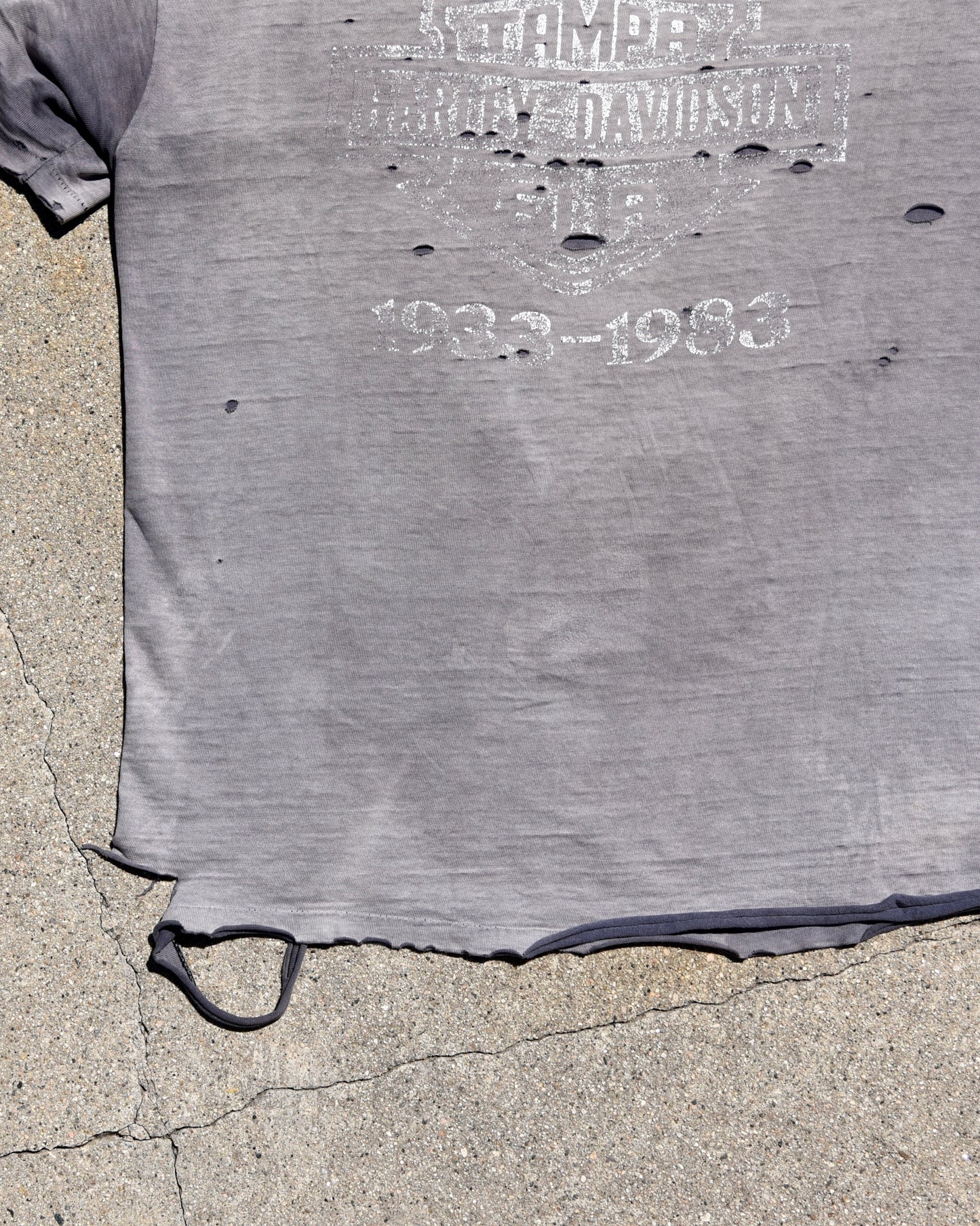 1980s Thrashed and Sun Faded Harley Davidson Eagle Tshirt