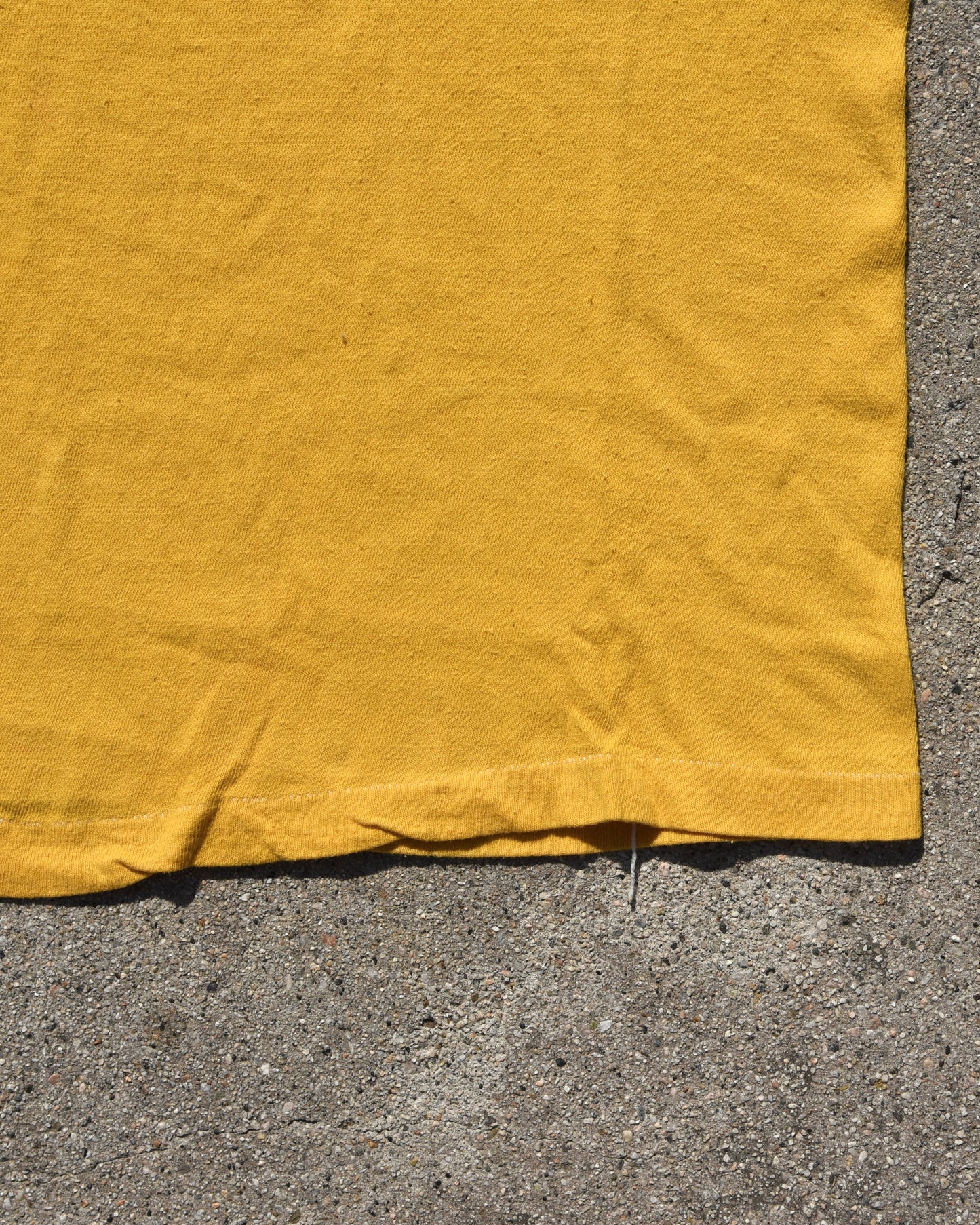 1970s The Beach Boys Endless Summer Capitol Records Tshirt