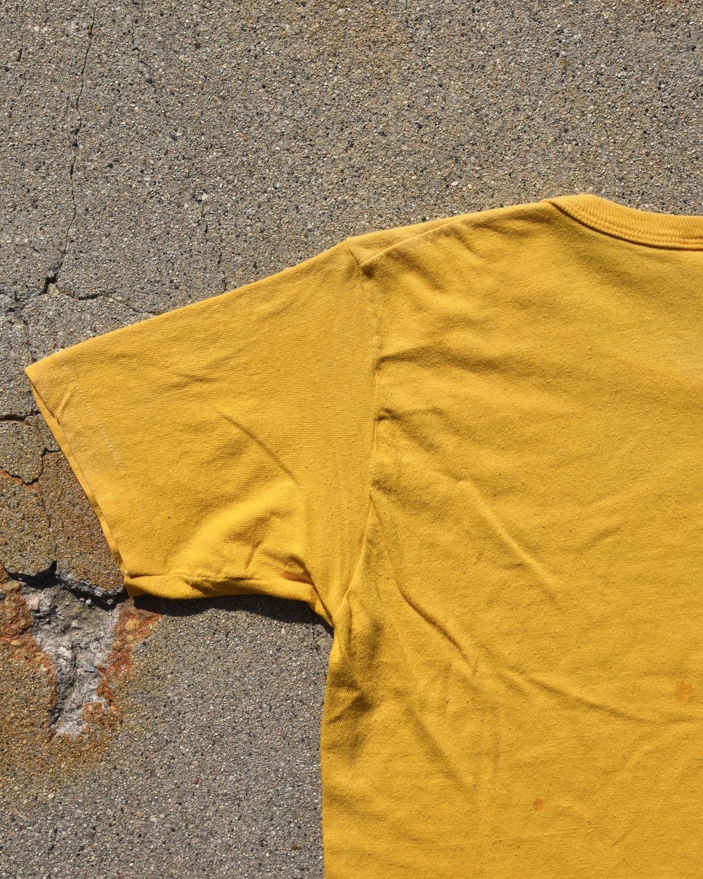 1970s The Beach Boys Endless Summer Capitol Records Tshirt