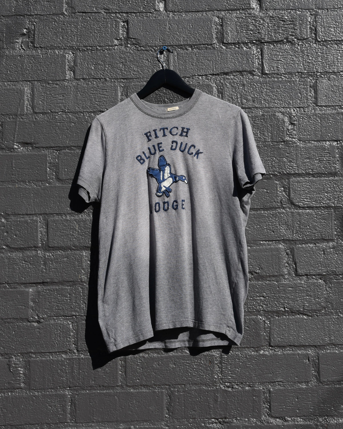 Abercrombie Blue Duck Lodge Tshirt