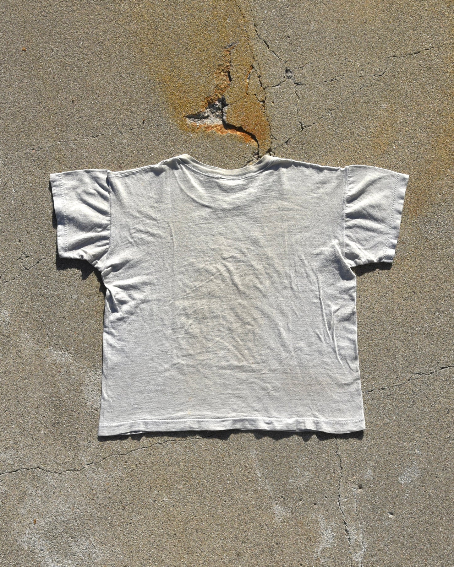 1950s Champion Argyle Central PE Tshirt