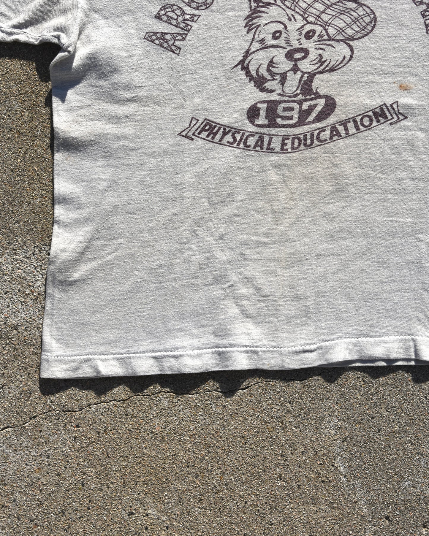 1950s Champion Argyle Central PE Tshirt