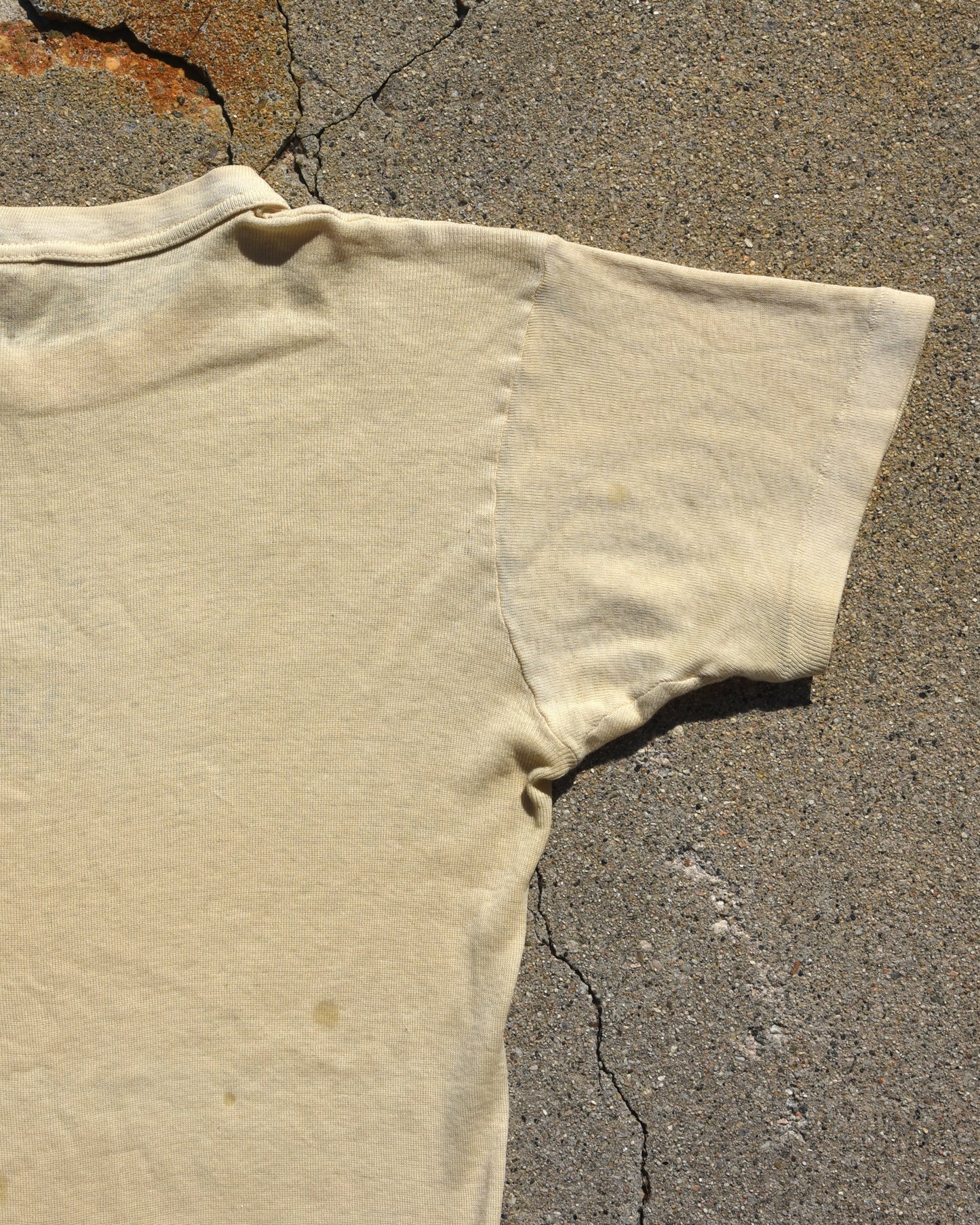 1950s Lion GRRR Stencil Tshirt