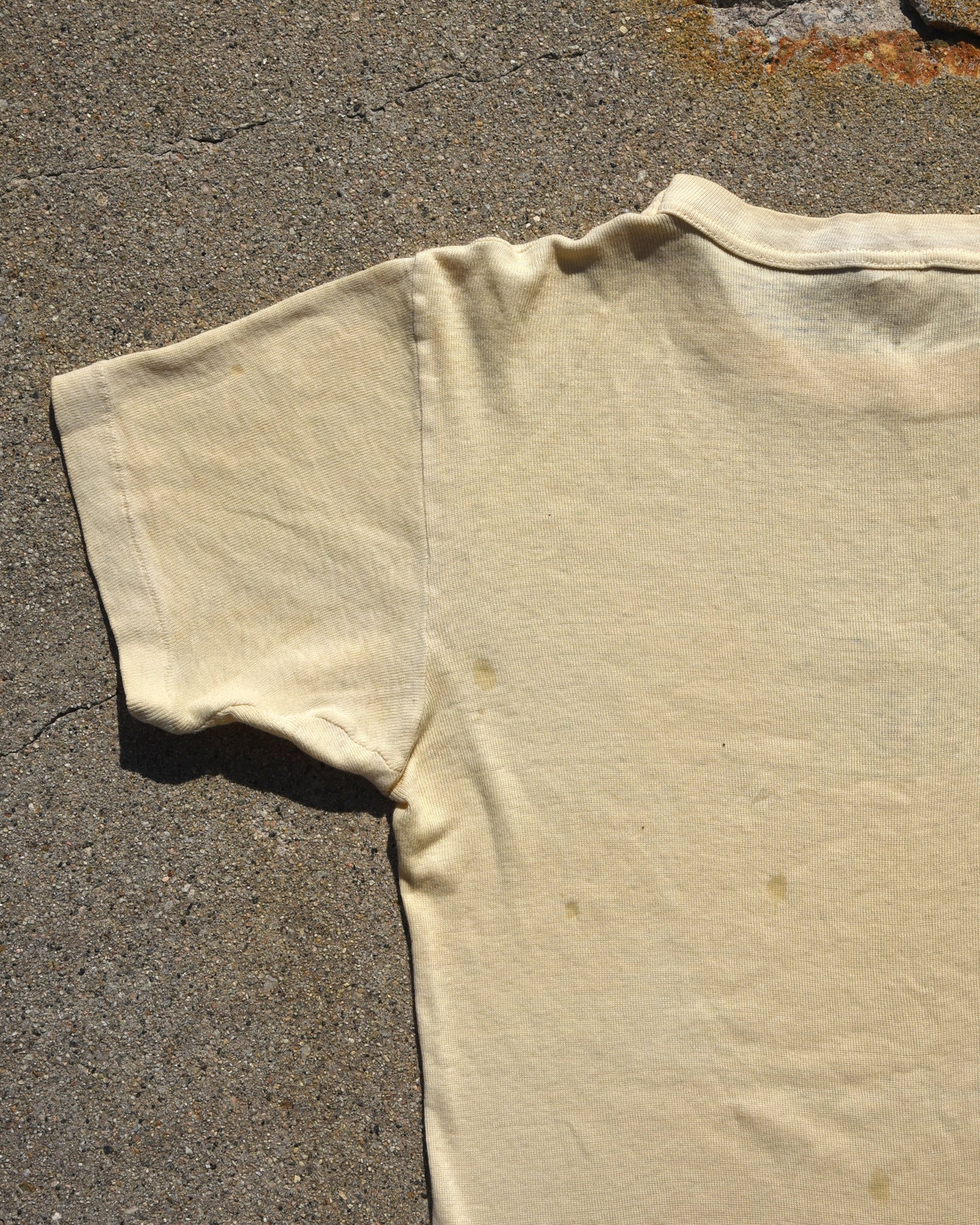 1950s Lion GRRR Stencil Tshirt
