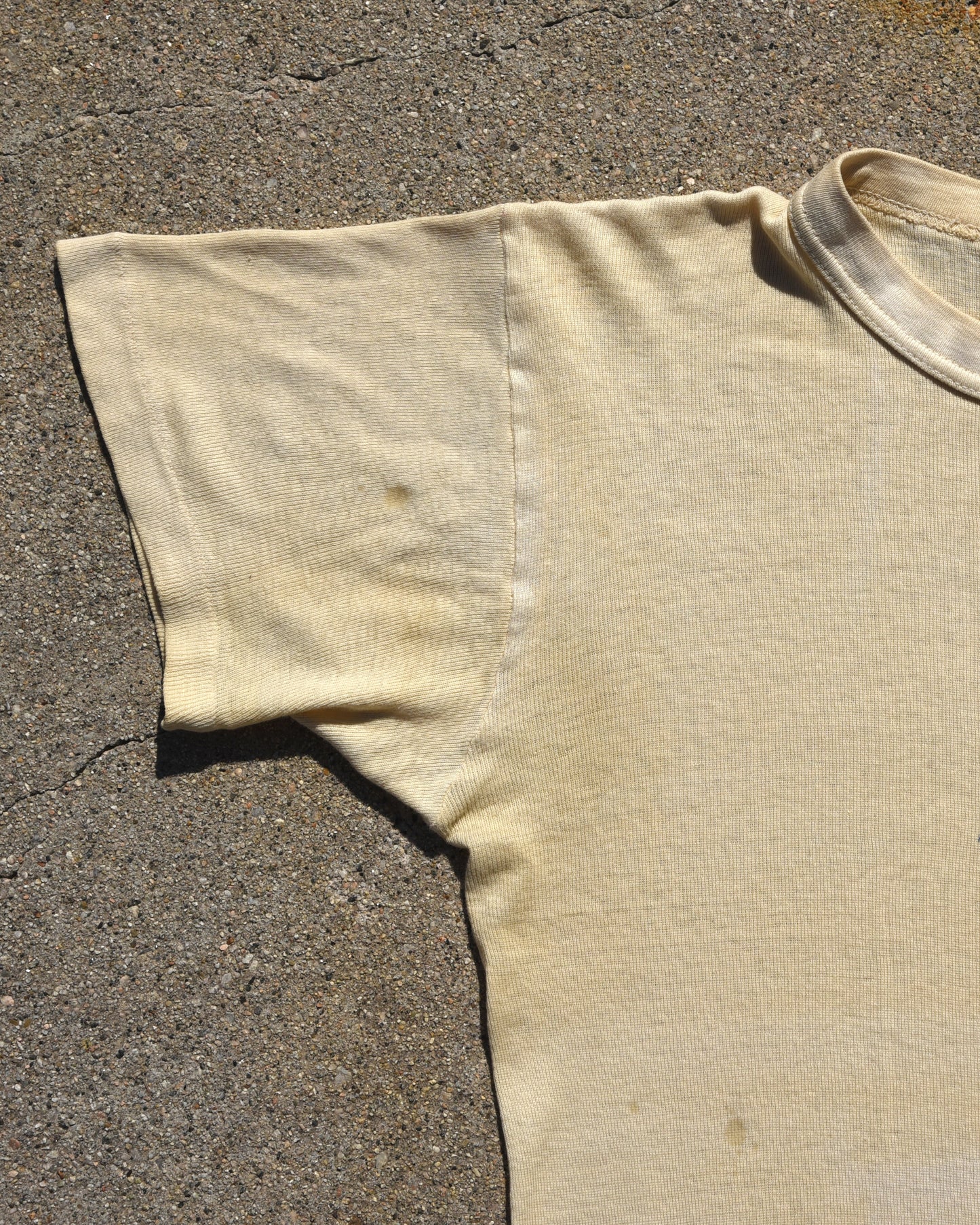 1950s Lion GRRR Stencil Tshirt