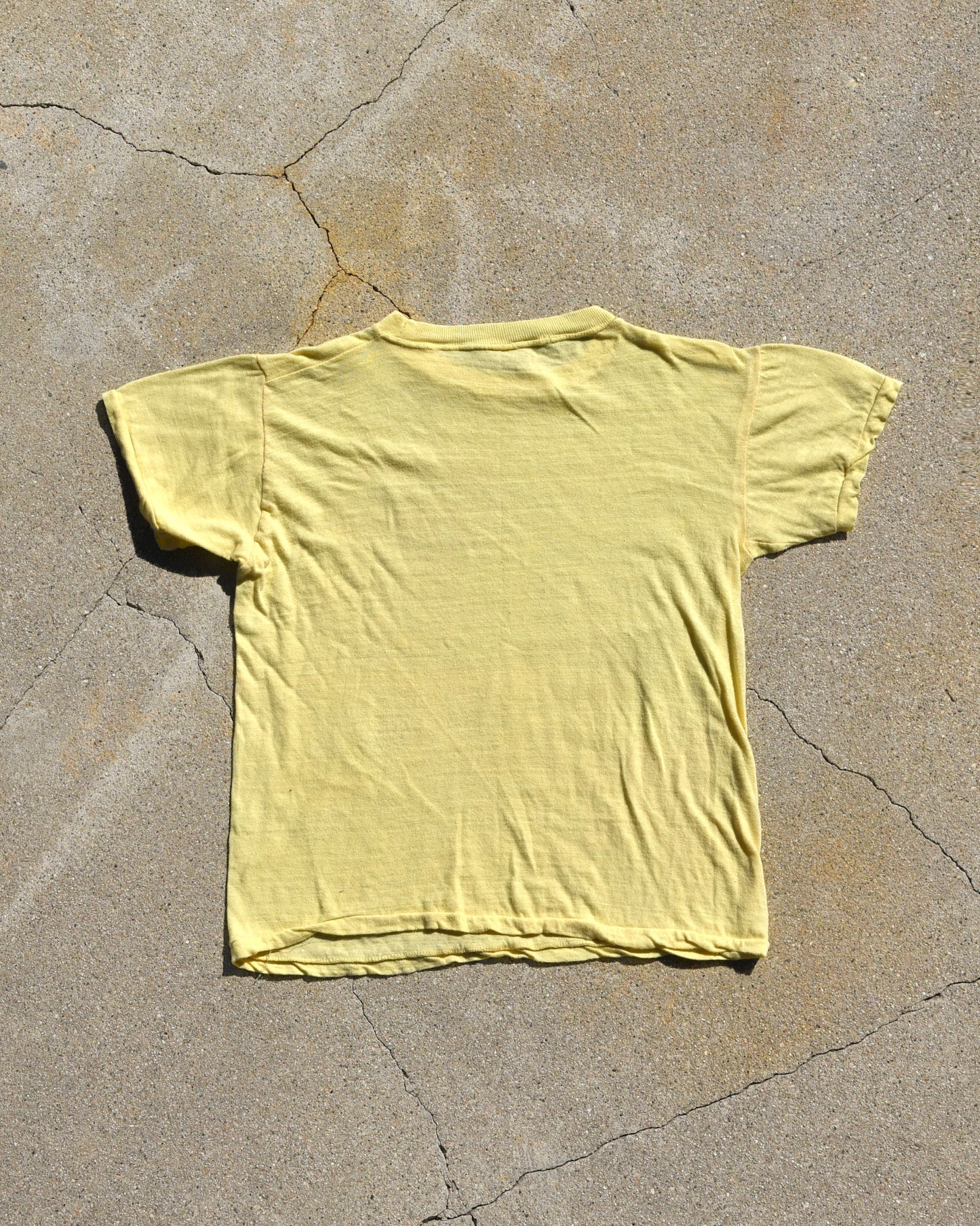 1970s Fuck Everything Tshirt