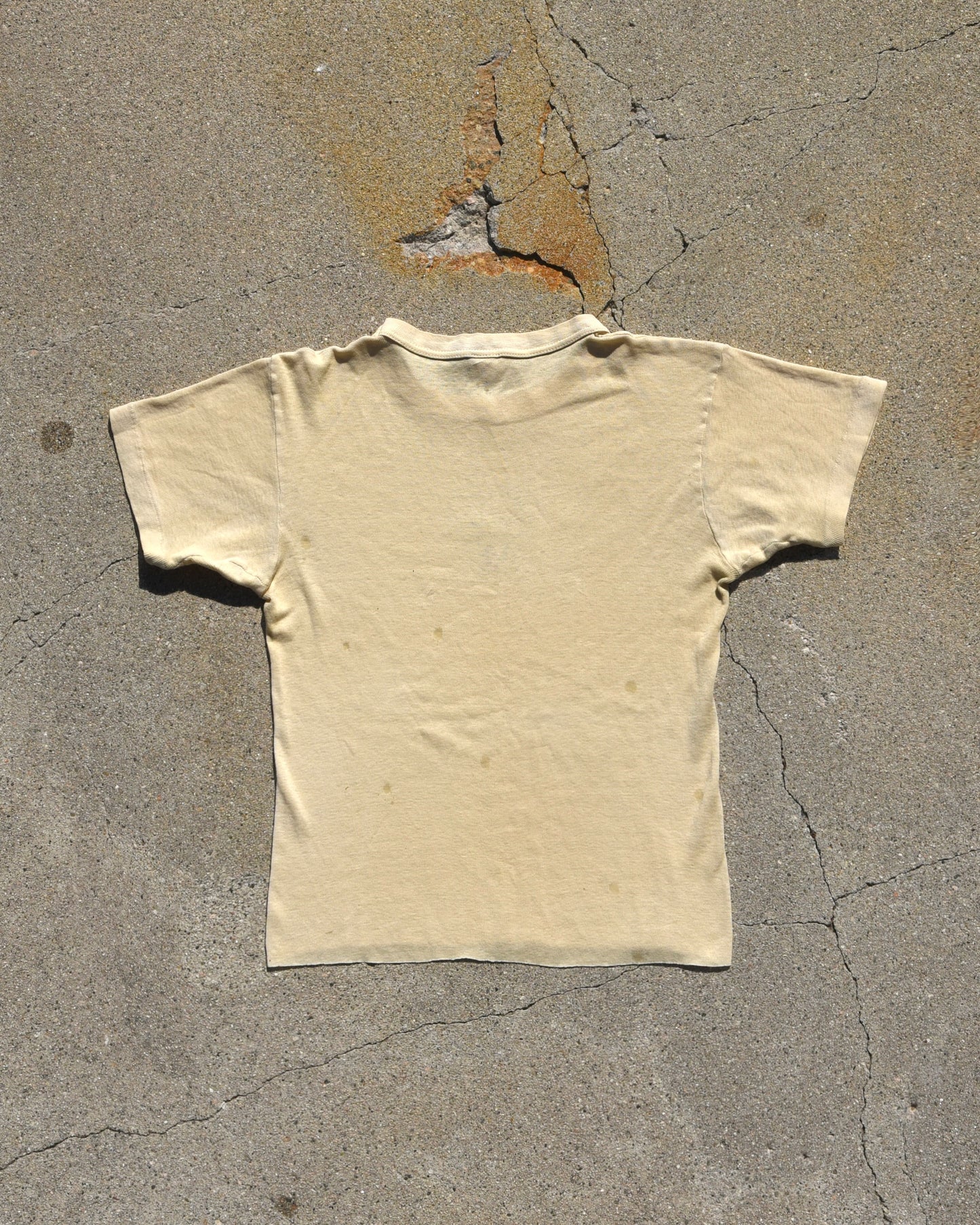 1950s Lion GRRR Stencil Tshirt