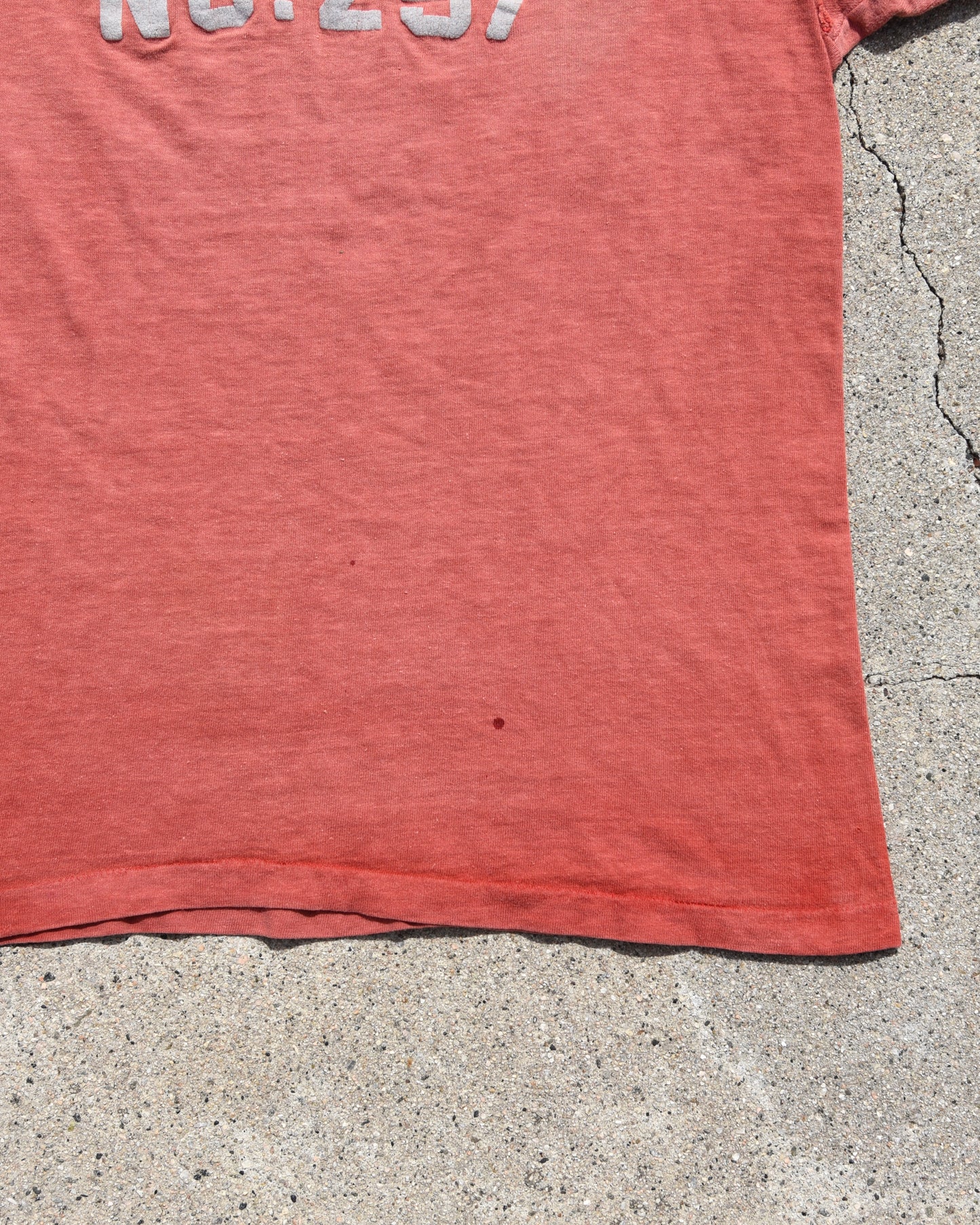 1950s Sun Faded Moose Lodge Tshirt