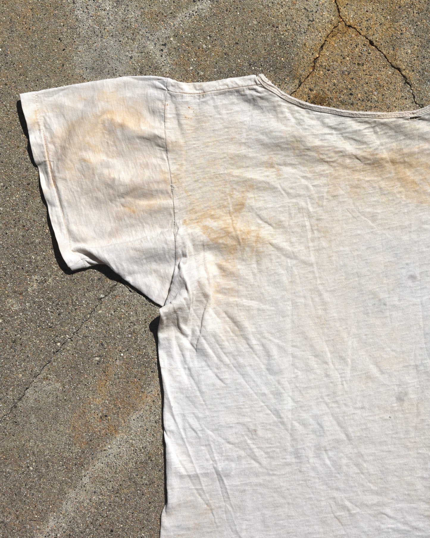 1950s Thrashed Lion Grrr Tshirt