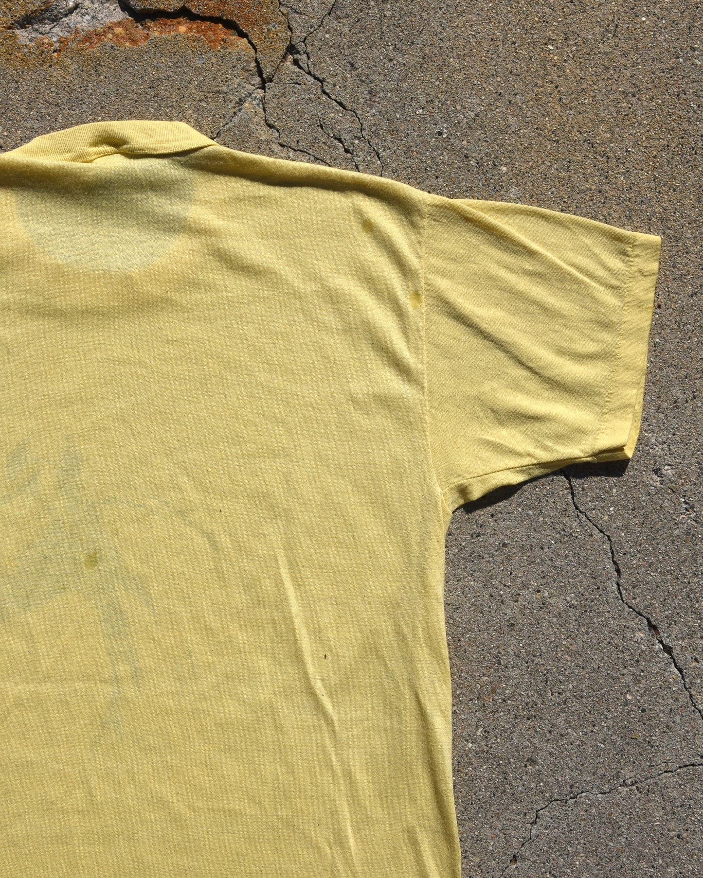1960s Horse Portrait Tshirt