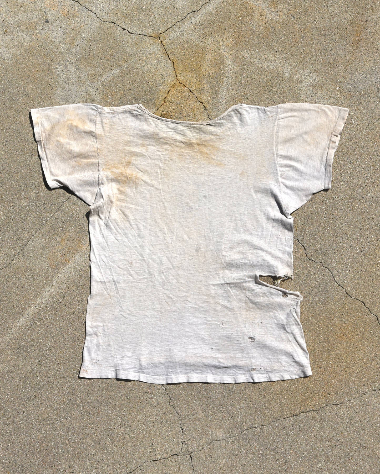 1950s Thrashed Lion Grrr Tshirt