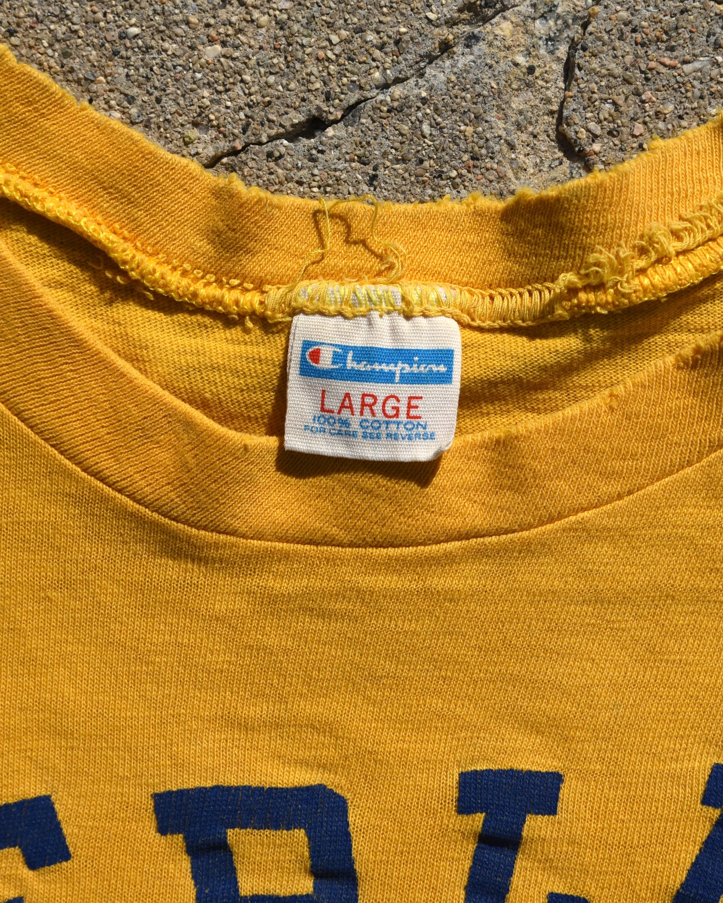 1970s Champion Sterling Phys Ed Tshirt - Large