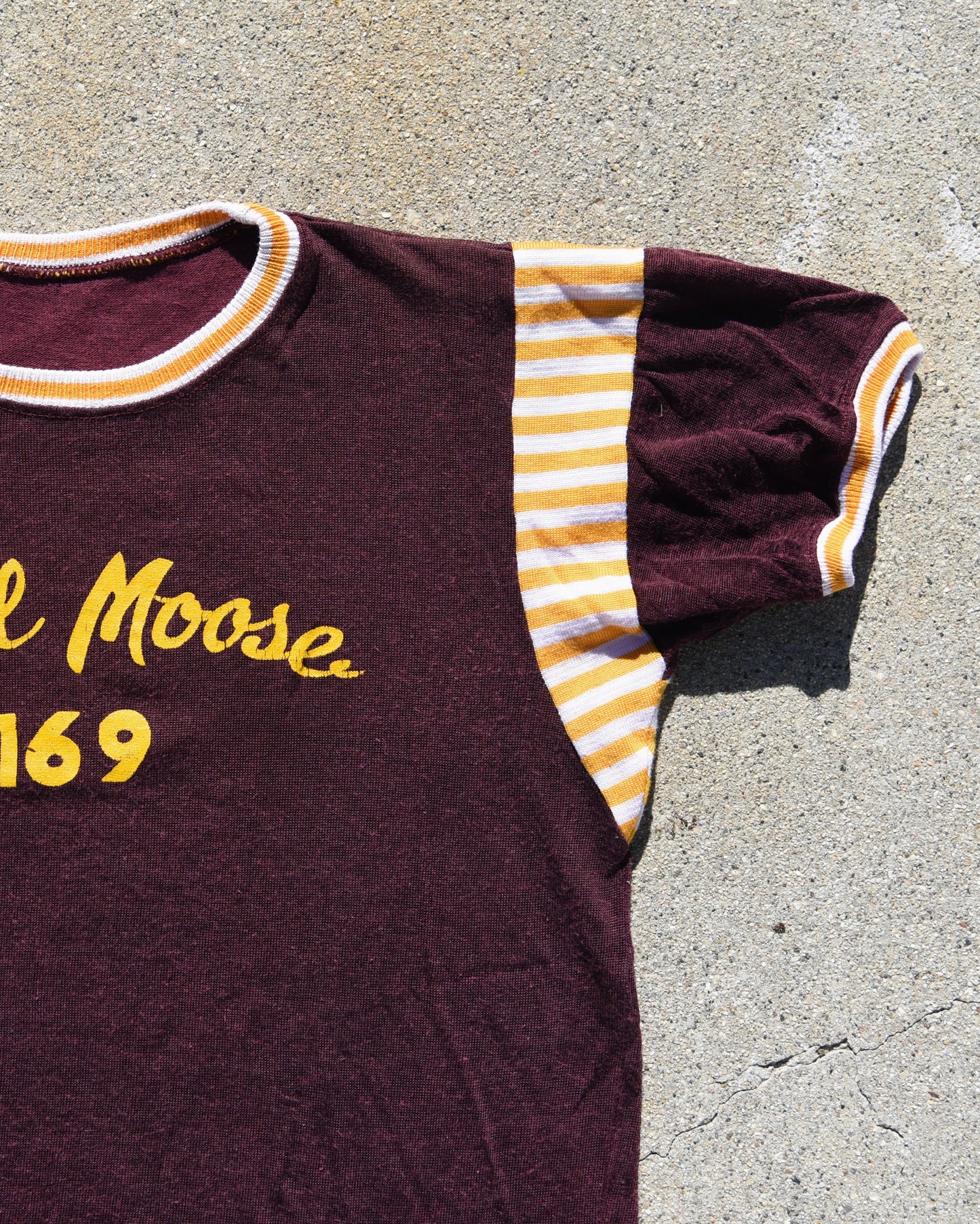 1960s Bristol Moose Durene Jersey
