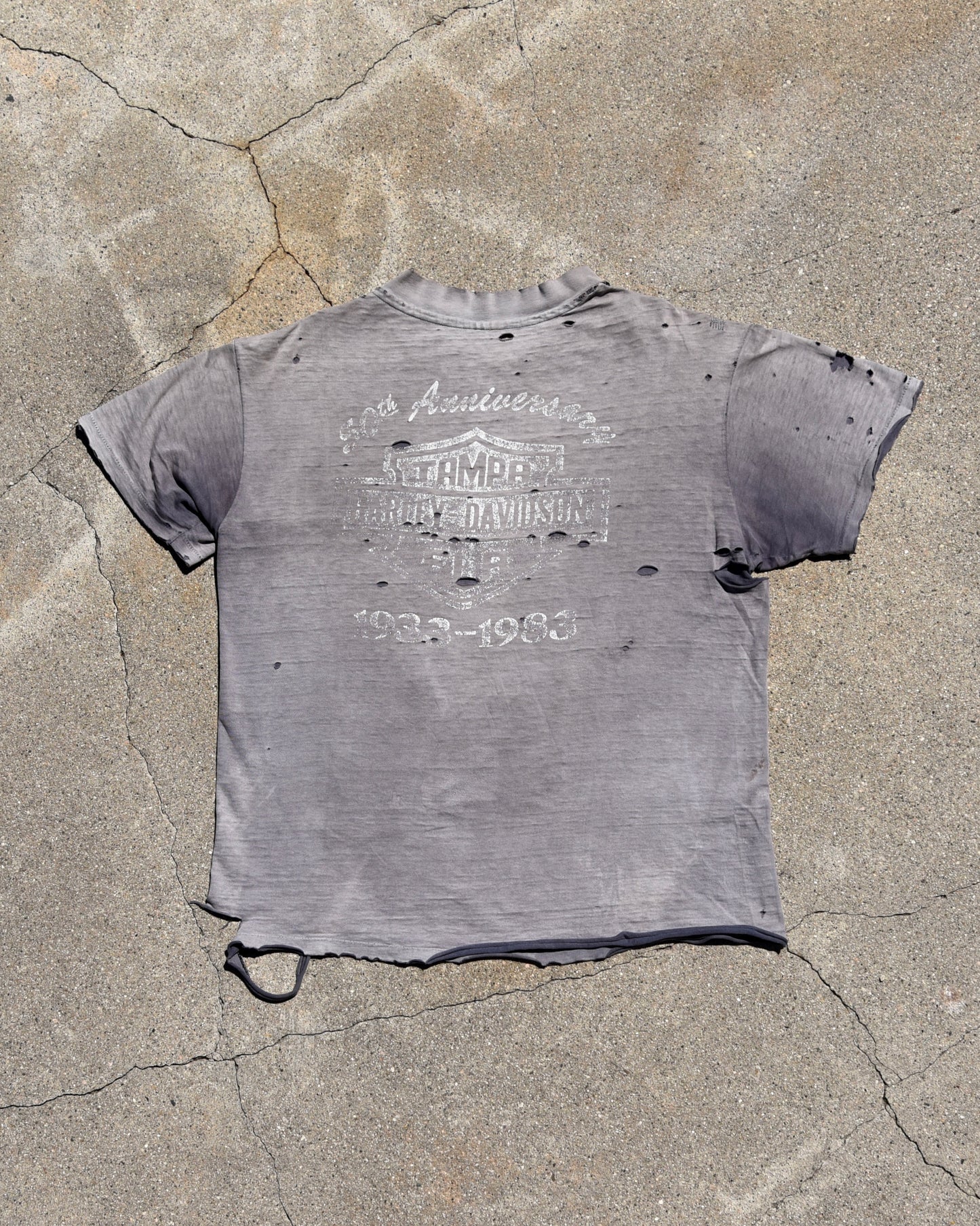 1980s Thrashed and Sun Faded Harley Davidson Eagle Tshirt