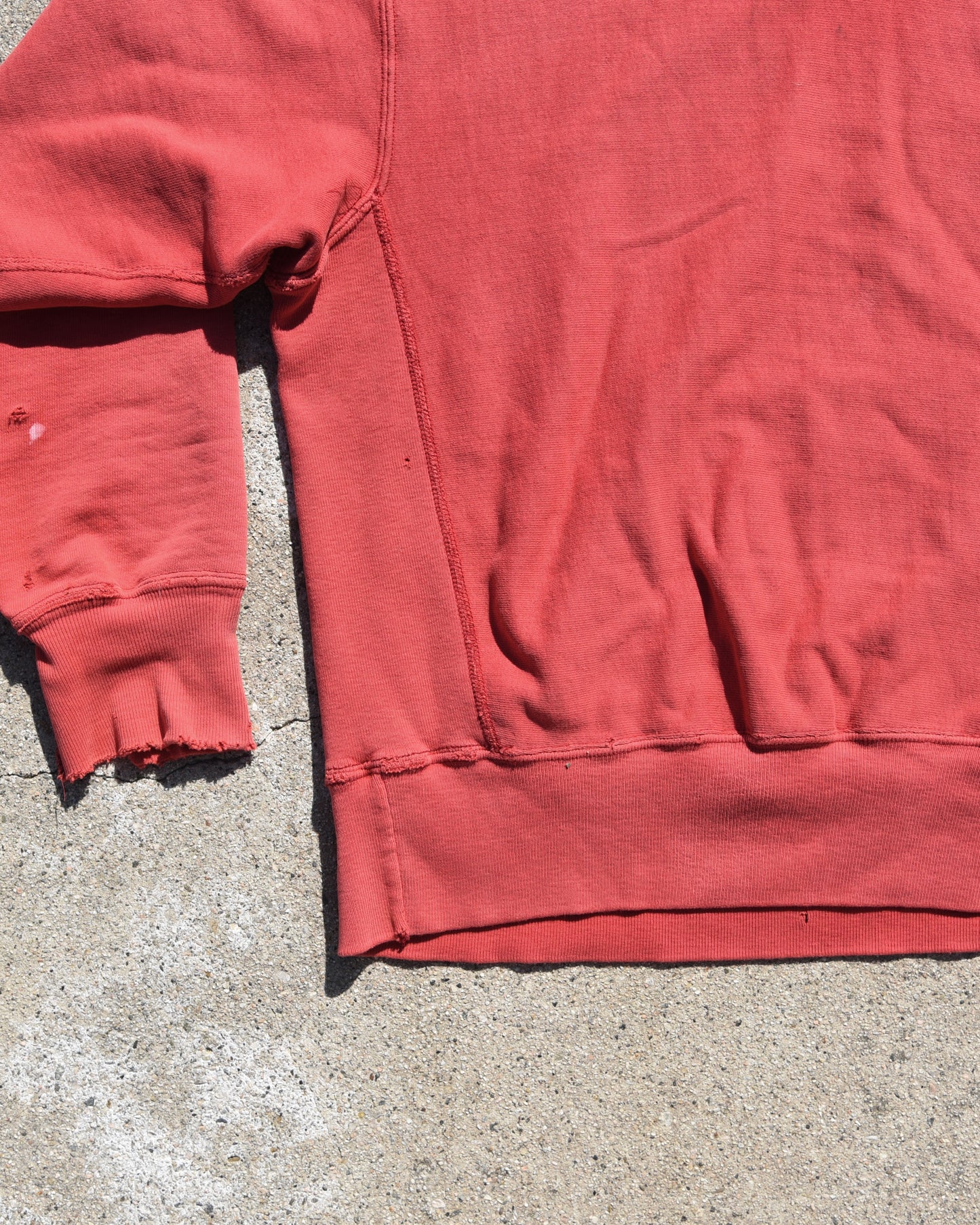 1980s Faded and Thrashed Champion Reverse Weave Temple Owls Sweatshirt