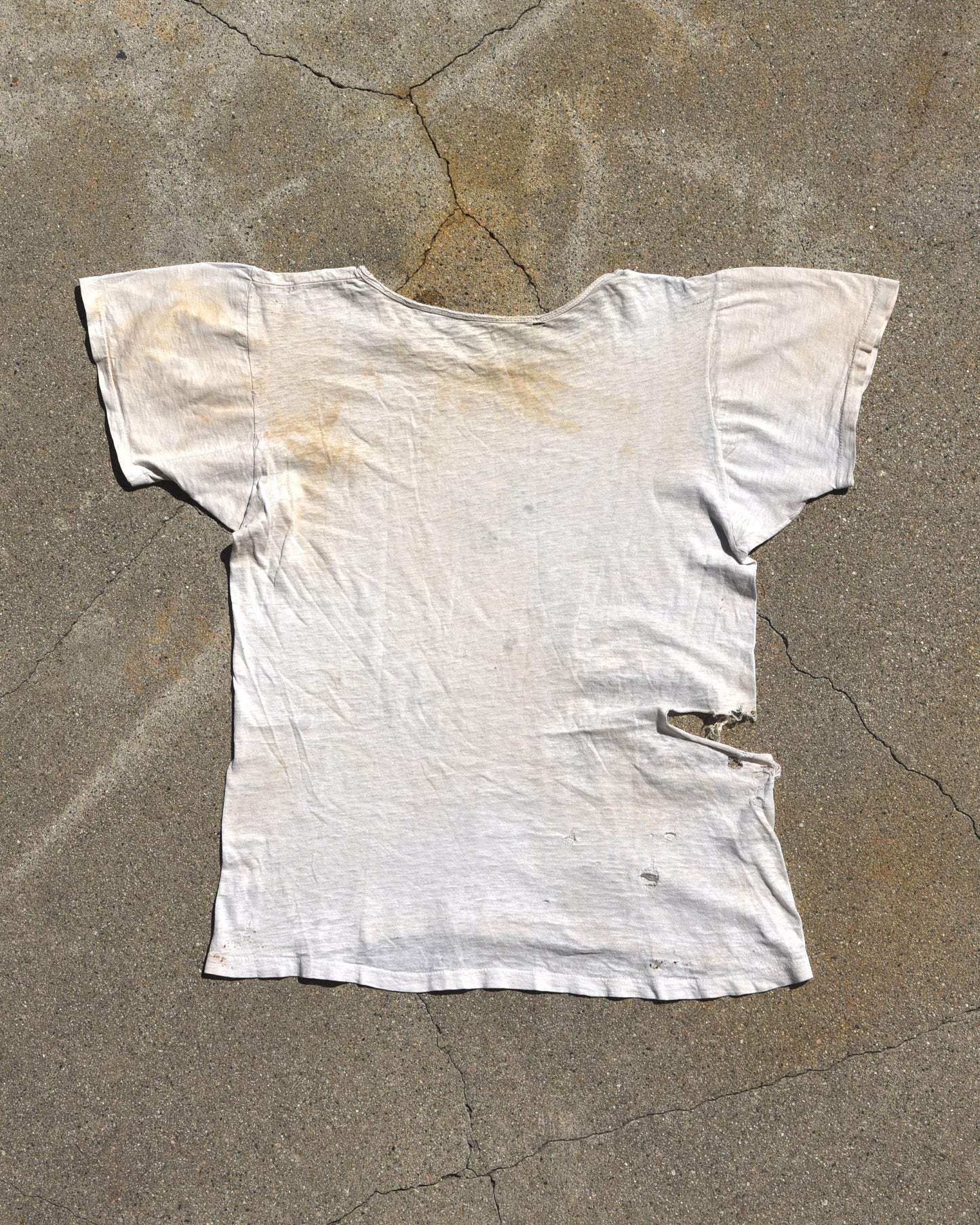 1950s Thrashed Lion Grrr Tshirt