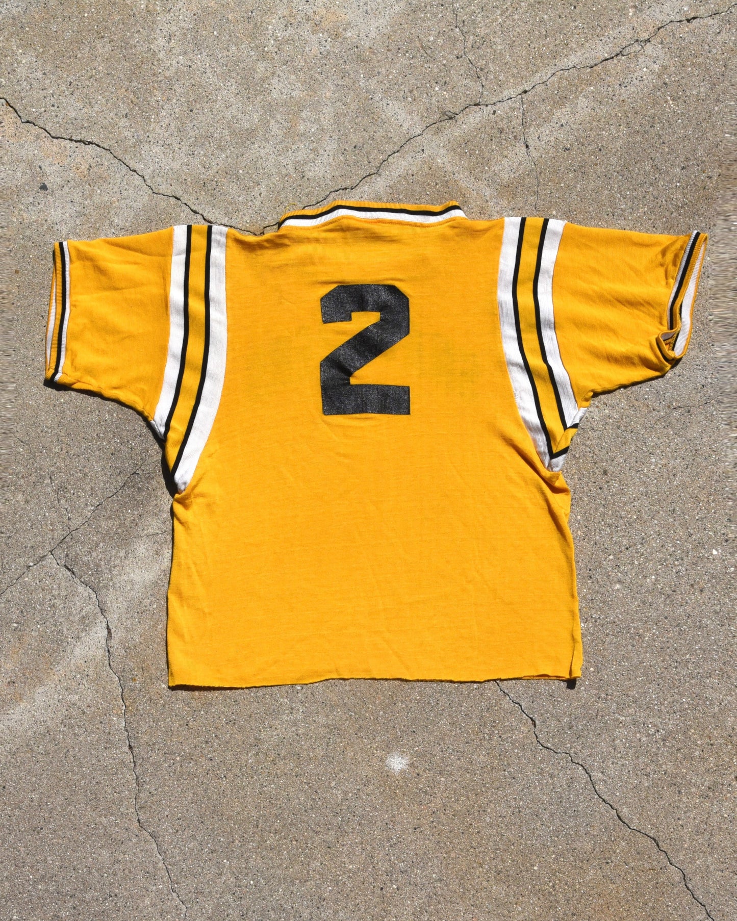 1960s Snatchers Cropped Durene Jersey