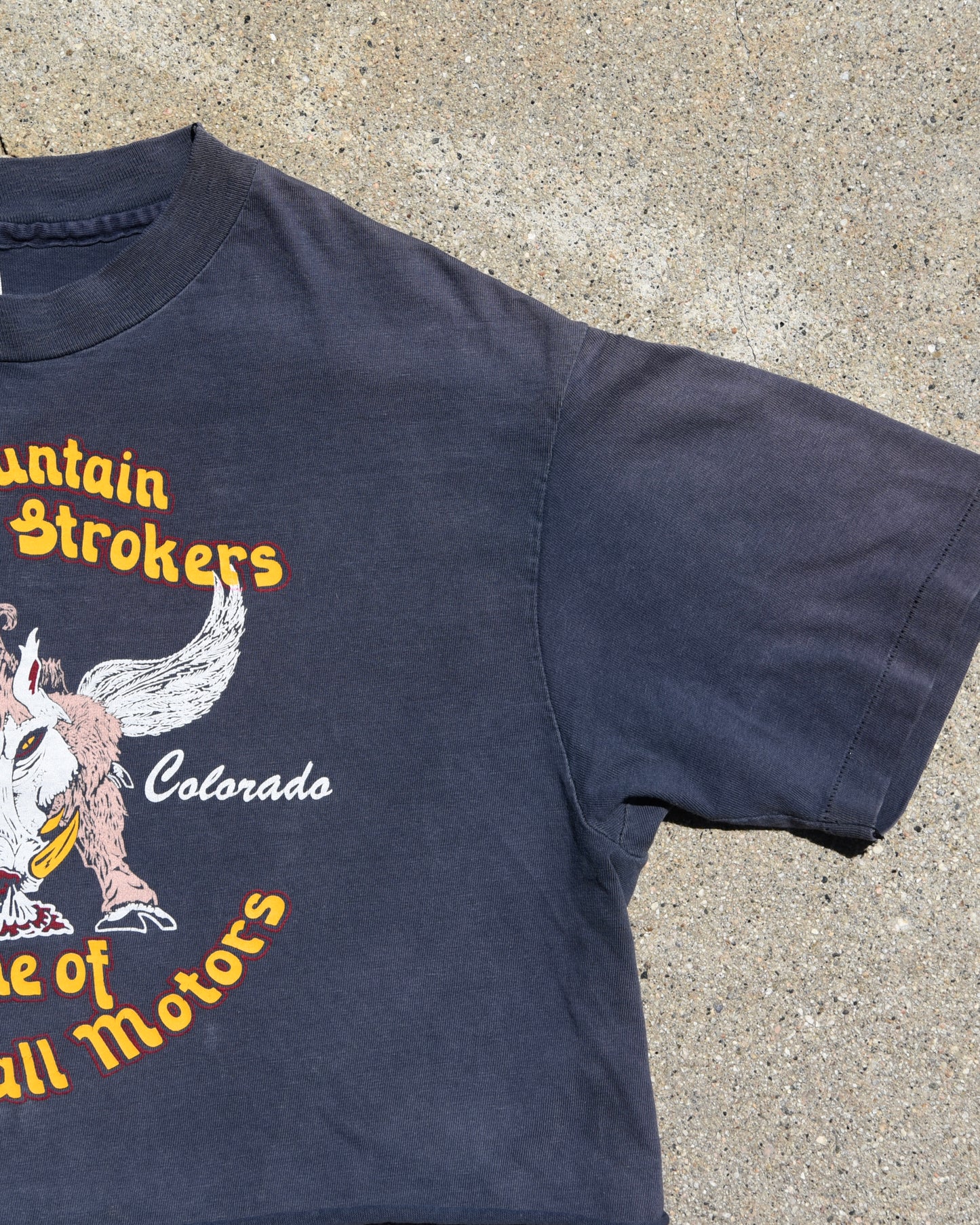 1980s Rocky Mountain Strokers Cropped Harley Davidson Tshirt