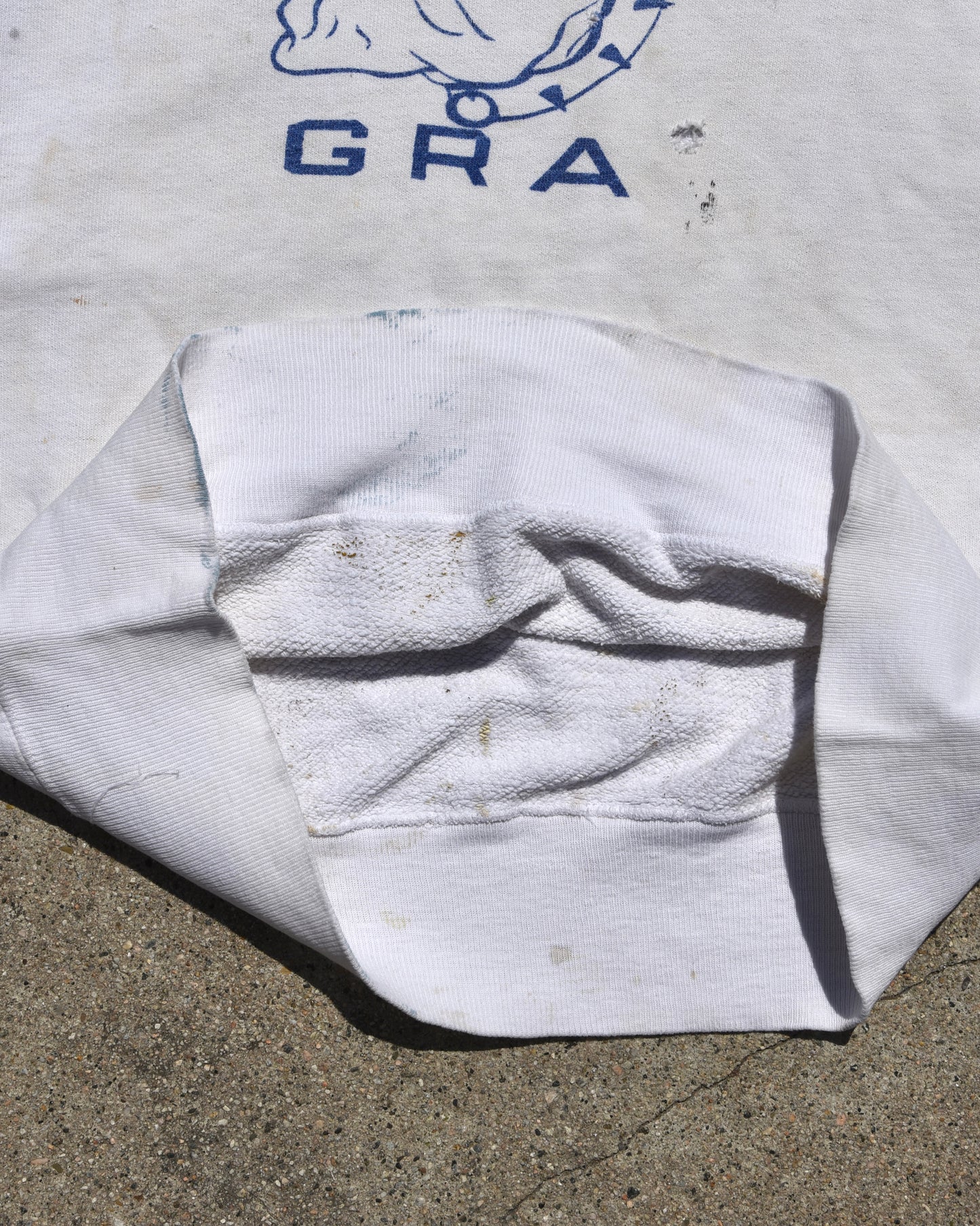 1950s Albany Gra Sweatshirt